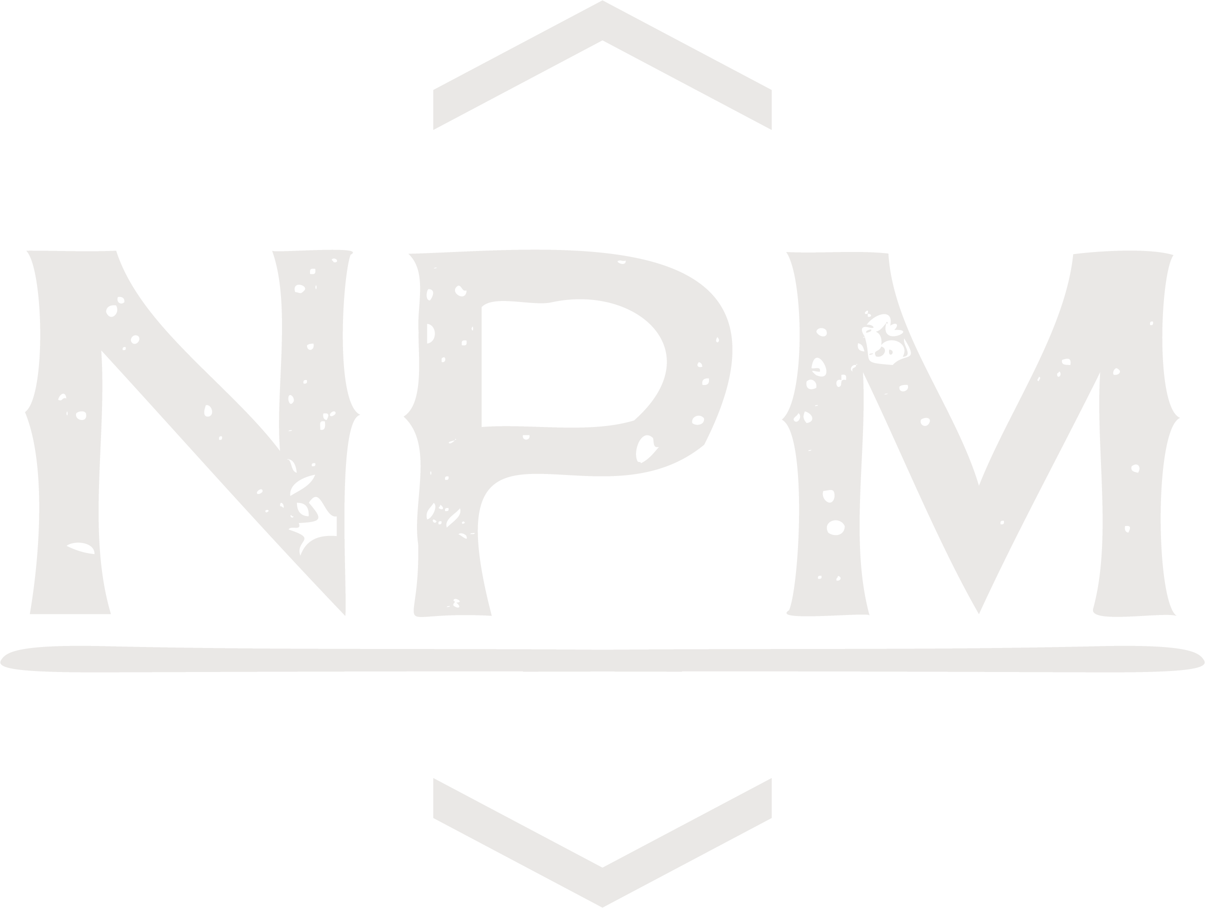 North Platte Midstream -Brand Logo