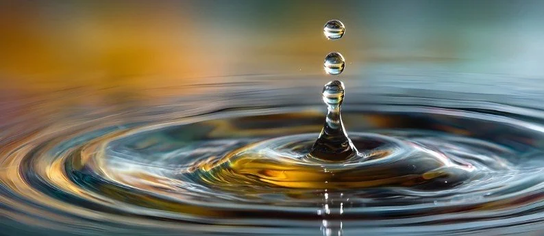 The Dangerous Side of Mindfulness