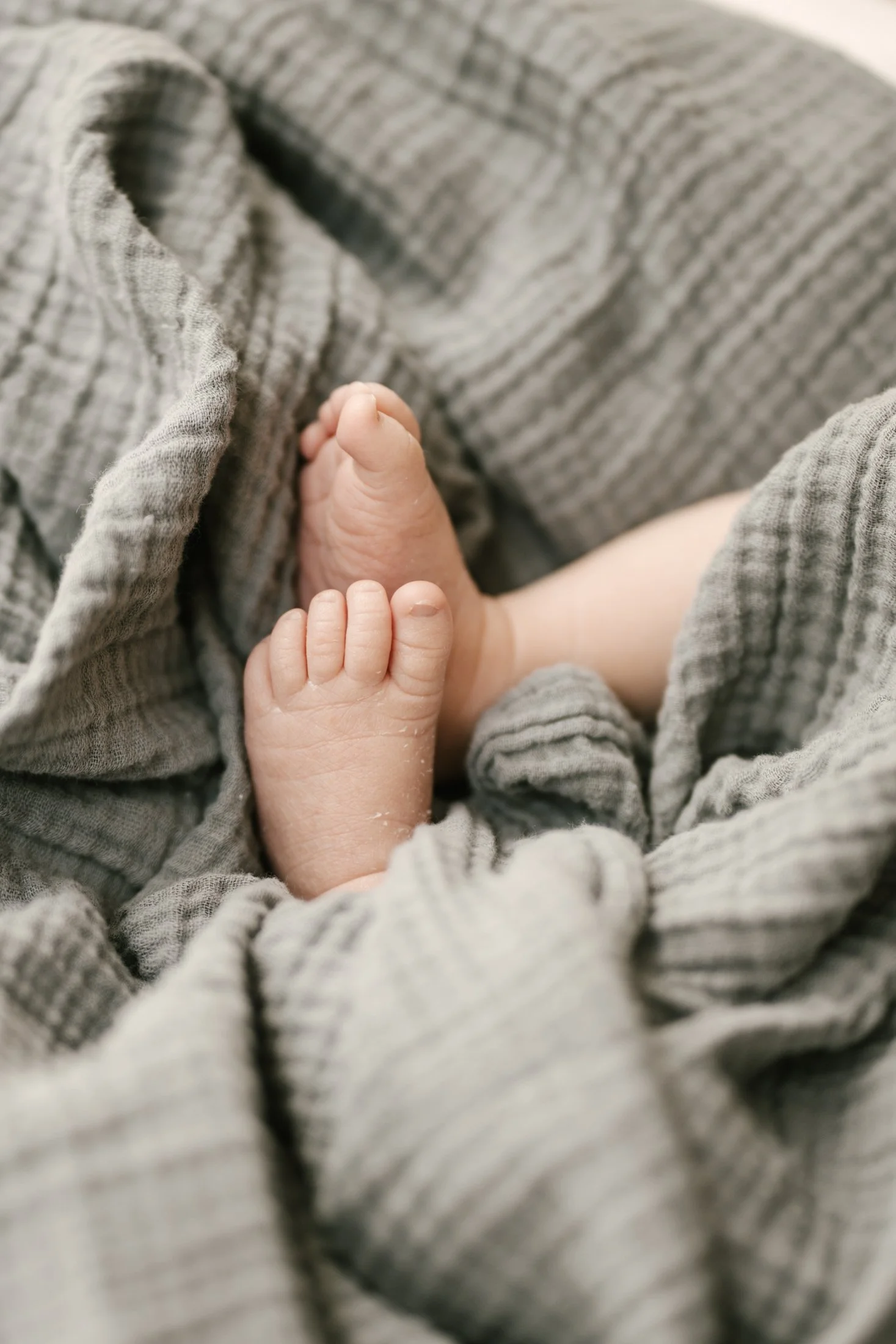 Portland Newborn photography