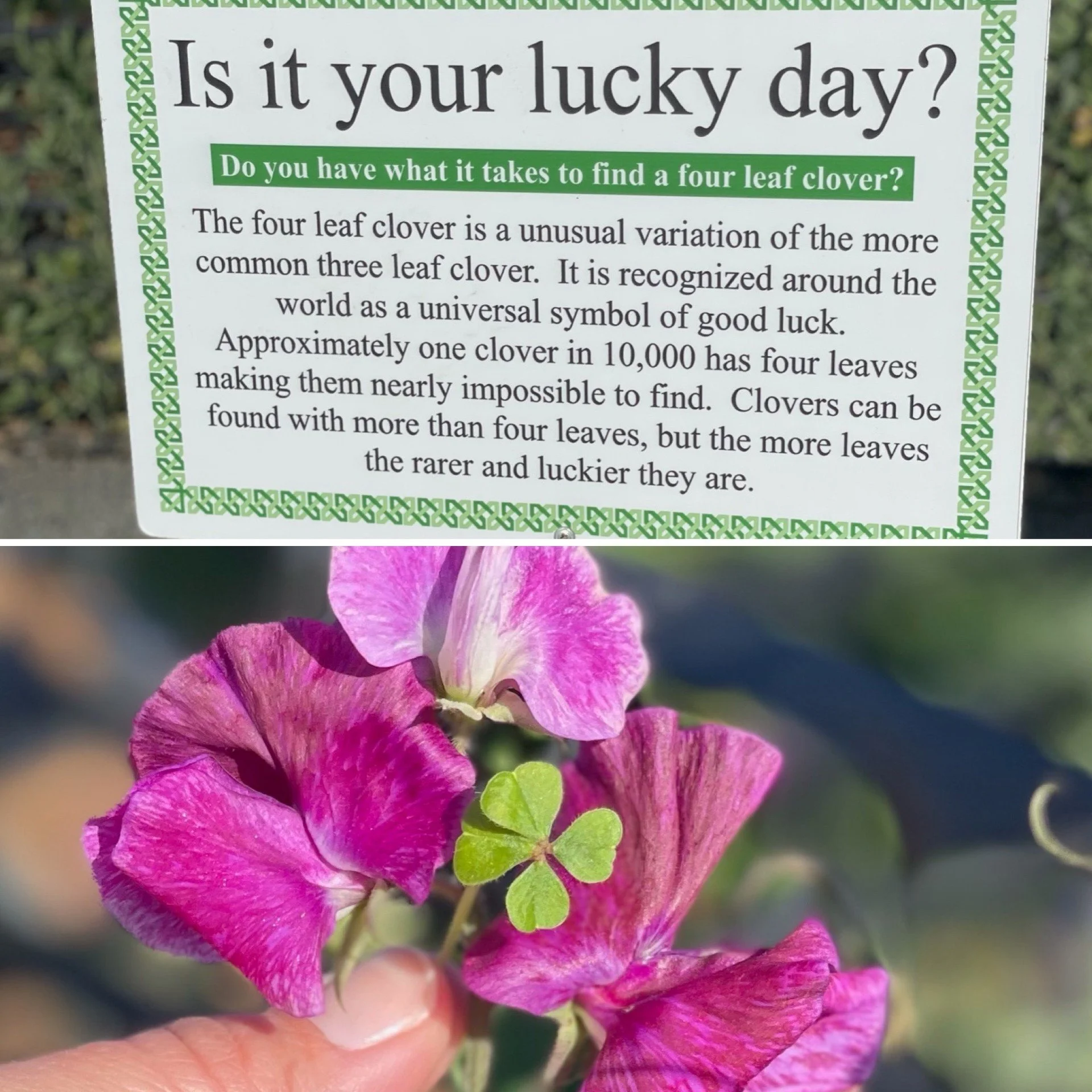 Is It Your Lucky Day?
