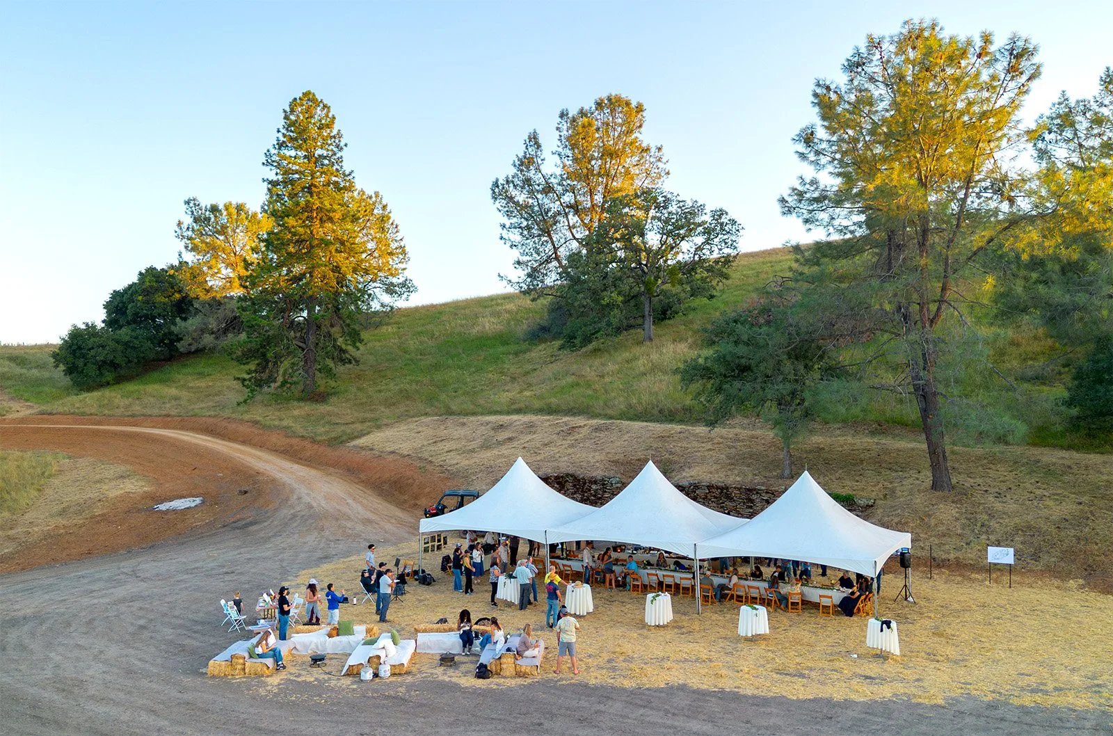 DJI_0088 (1).jpg