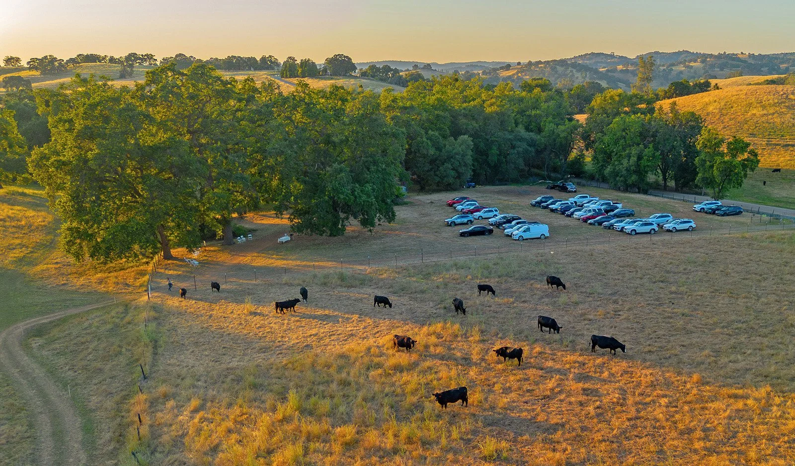 May Event_07_Views_DJI_0092.jpg
