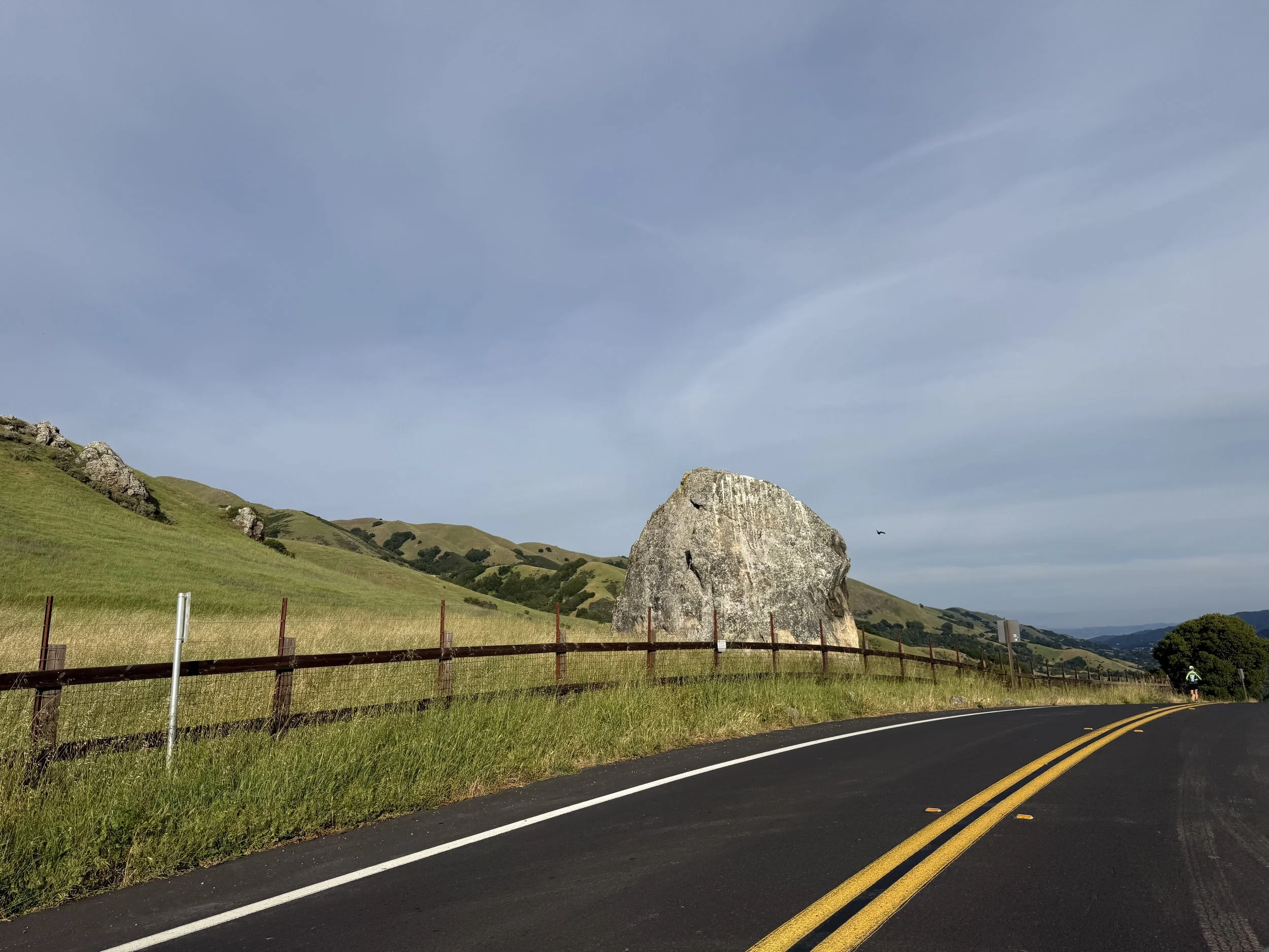 Drive to Marin.jpg