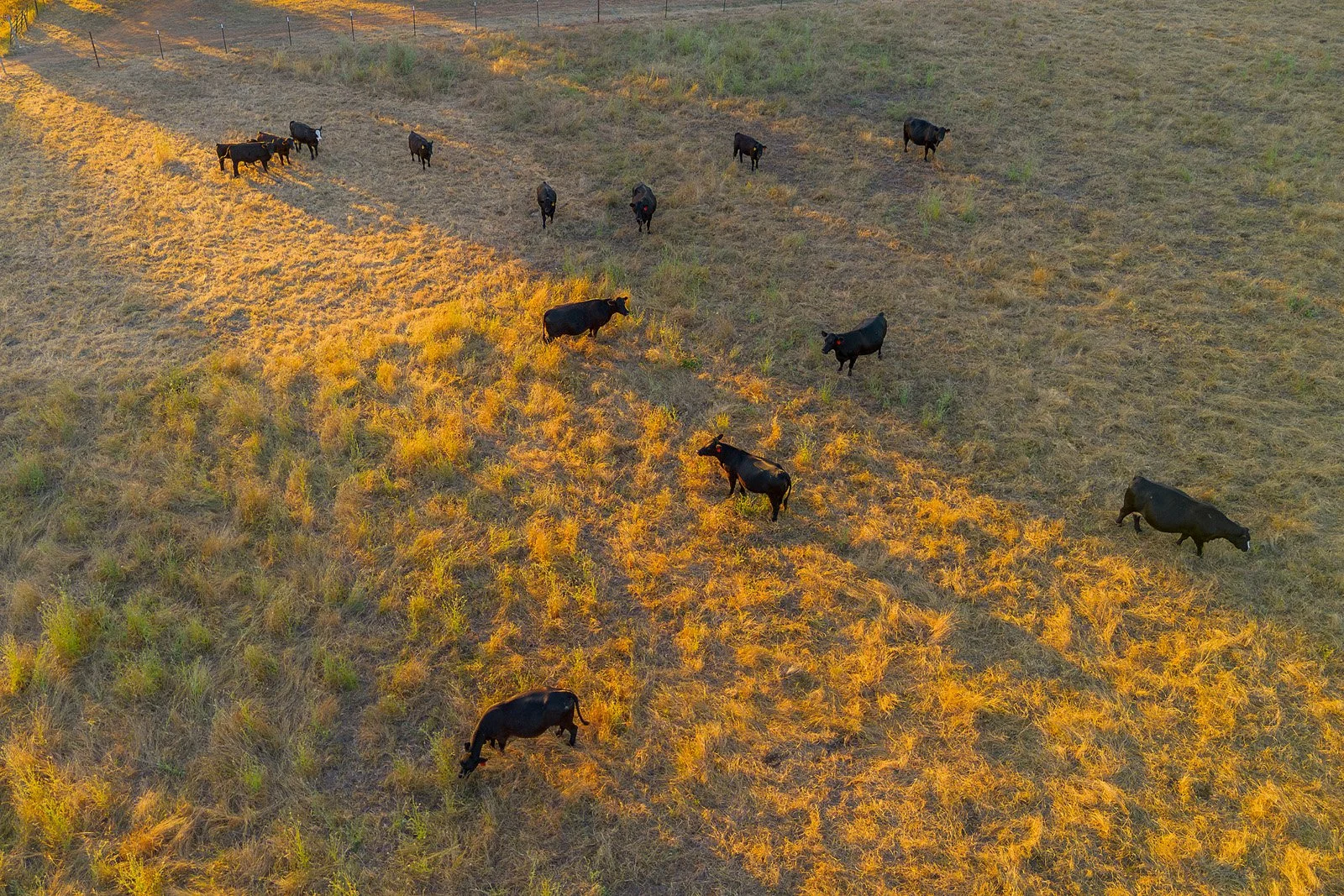May Event_07_Views_DJI_0097.jpg