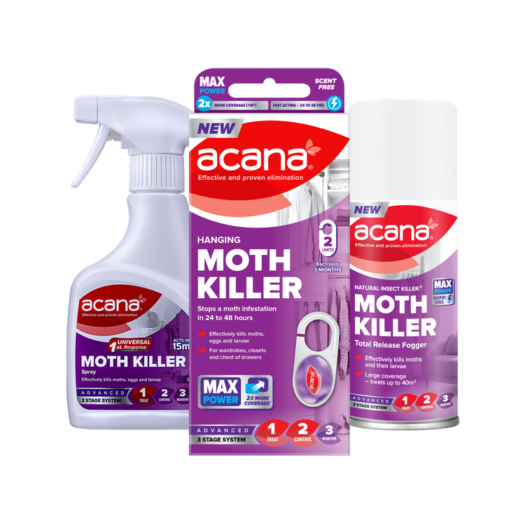 Effective Moth Killing Solutions for Moths on Clothes — Acana