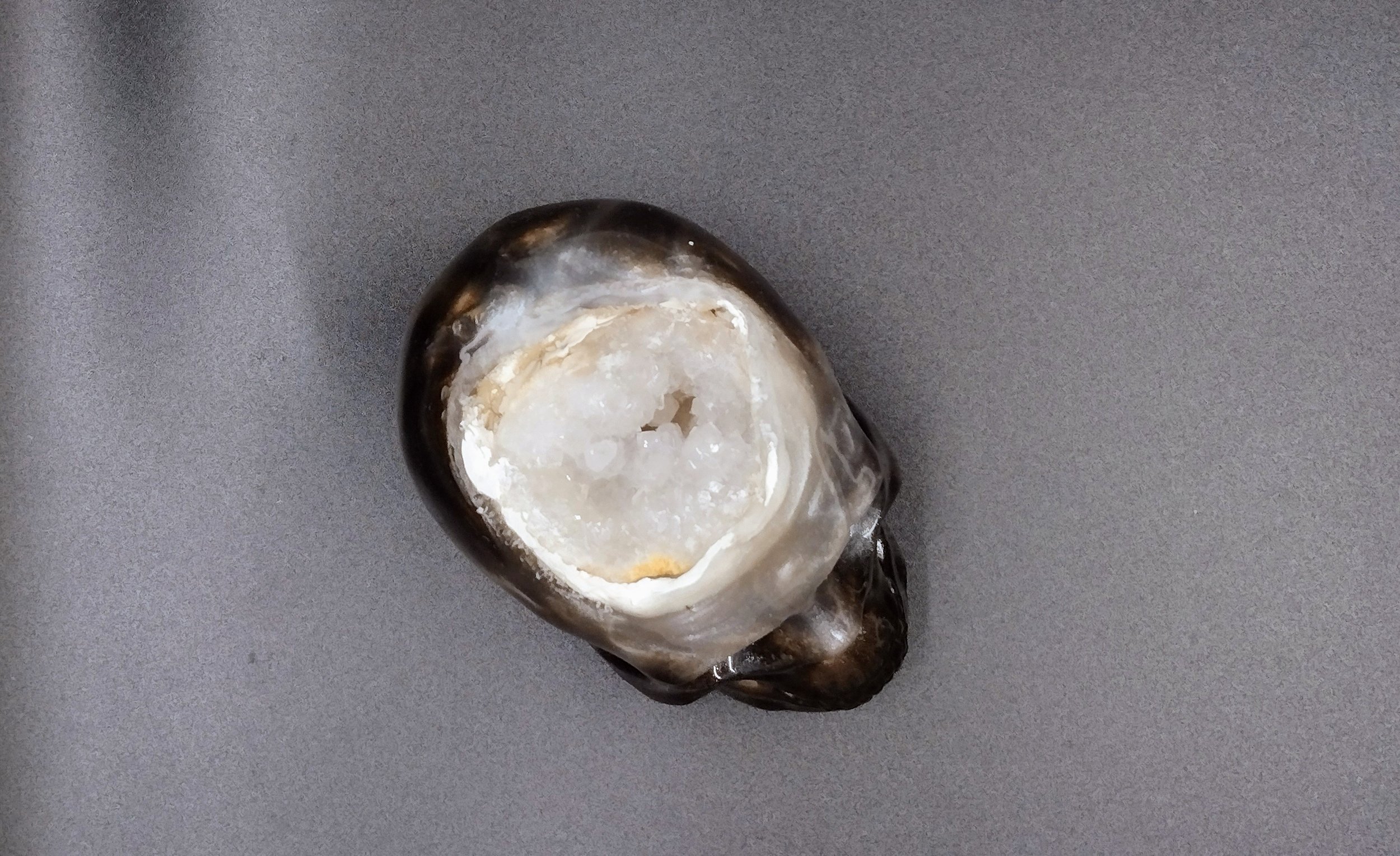 Web_Crystal Skull_Marbled Brown-White_Top.jpg