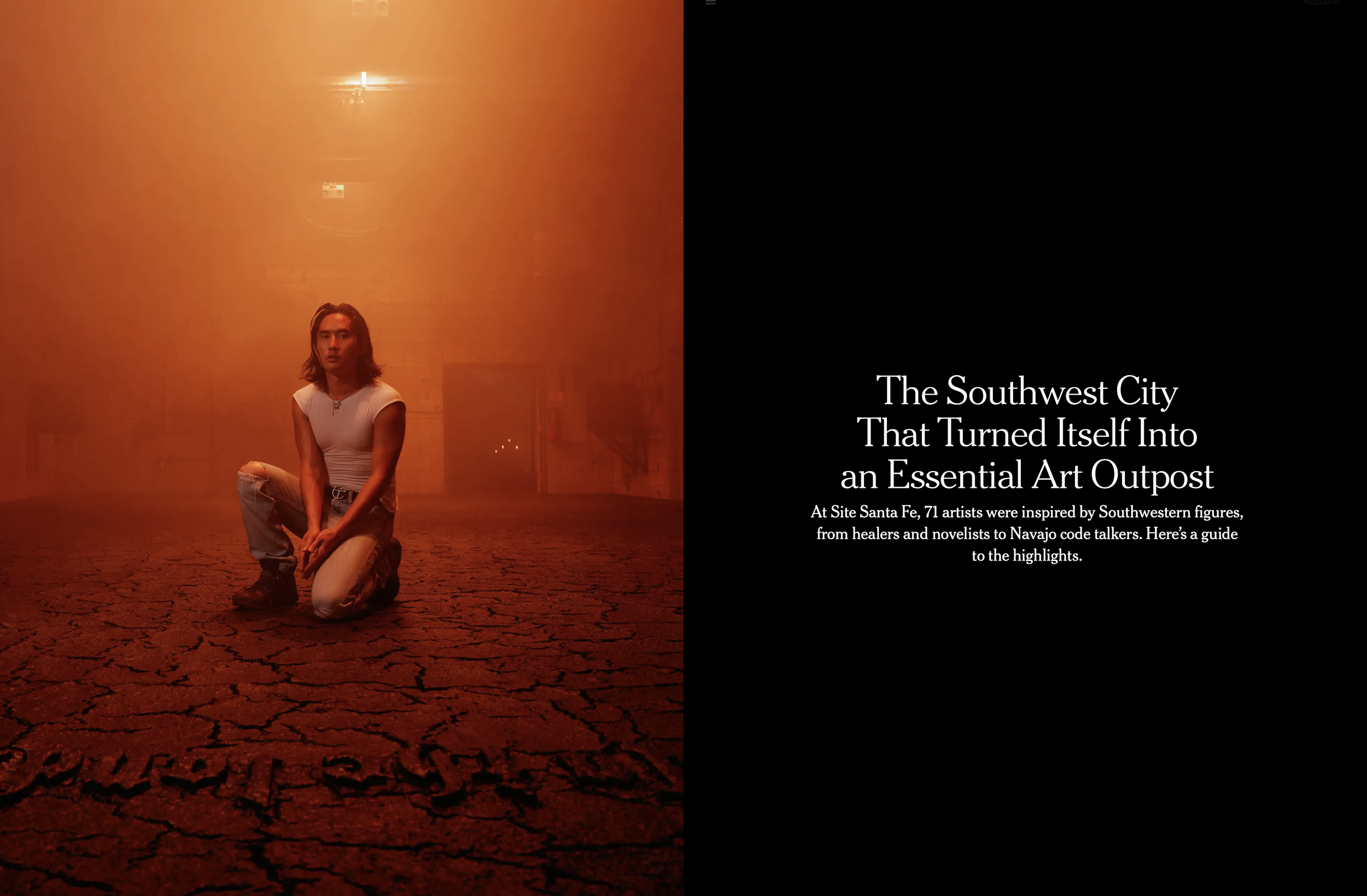 NEW YORK TIMES