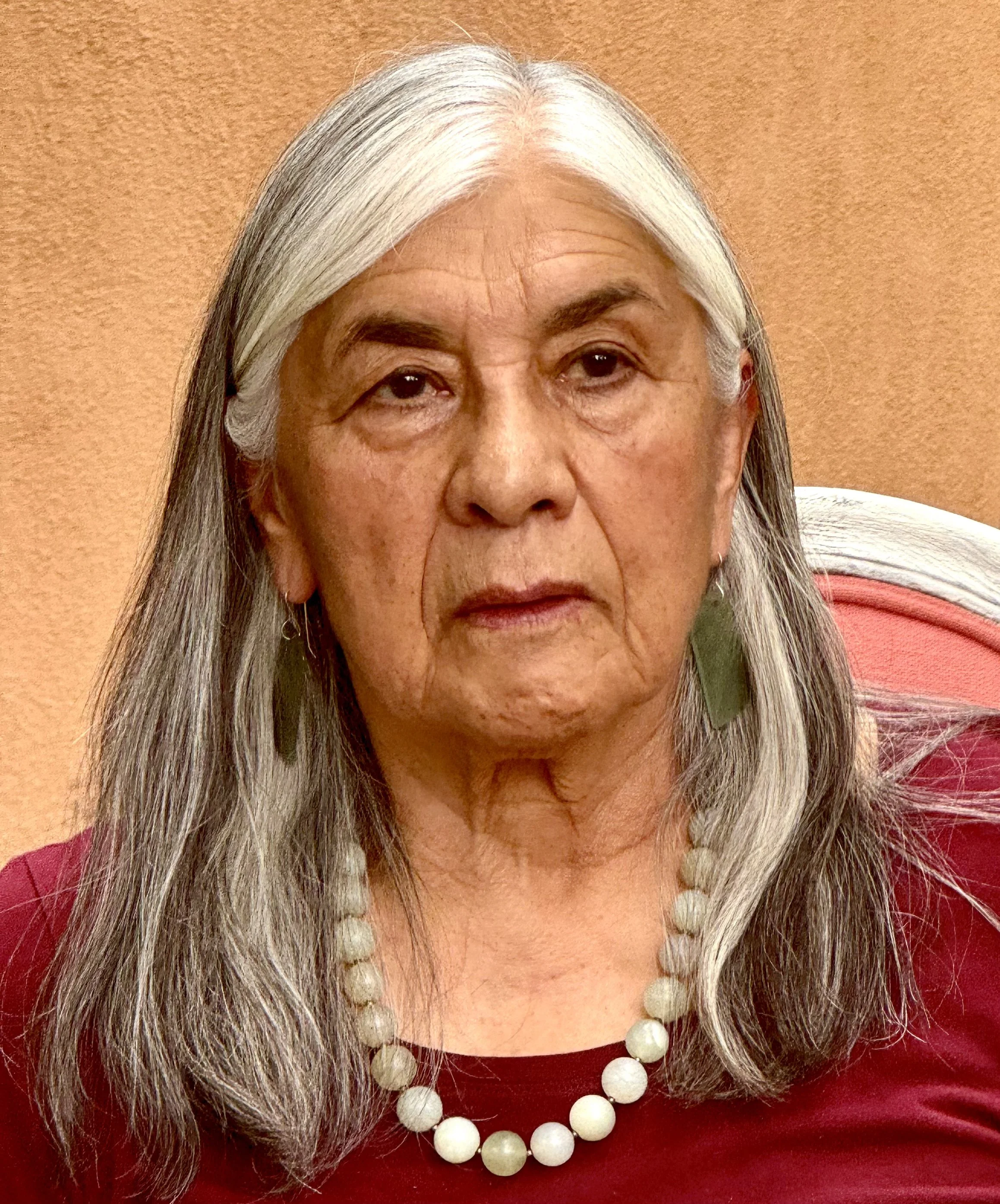 Soliz Lujan