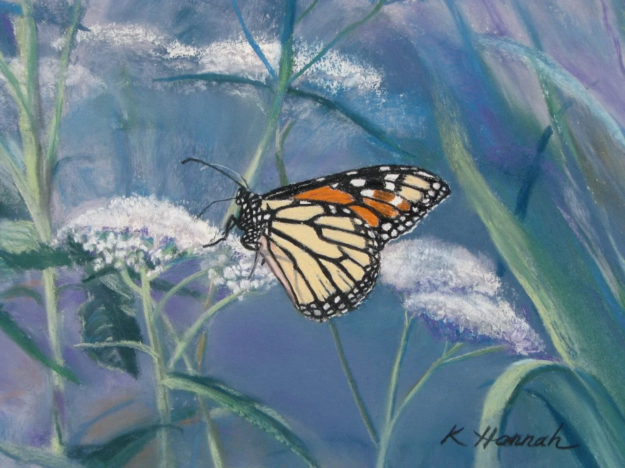 Monarch Sojourn -1885.jpeg