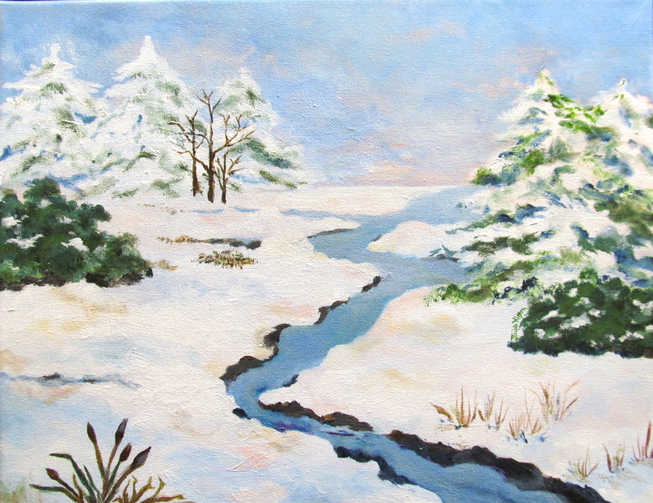 Winter Marsh Scene.JPG
