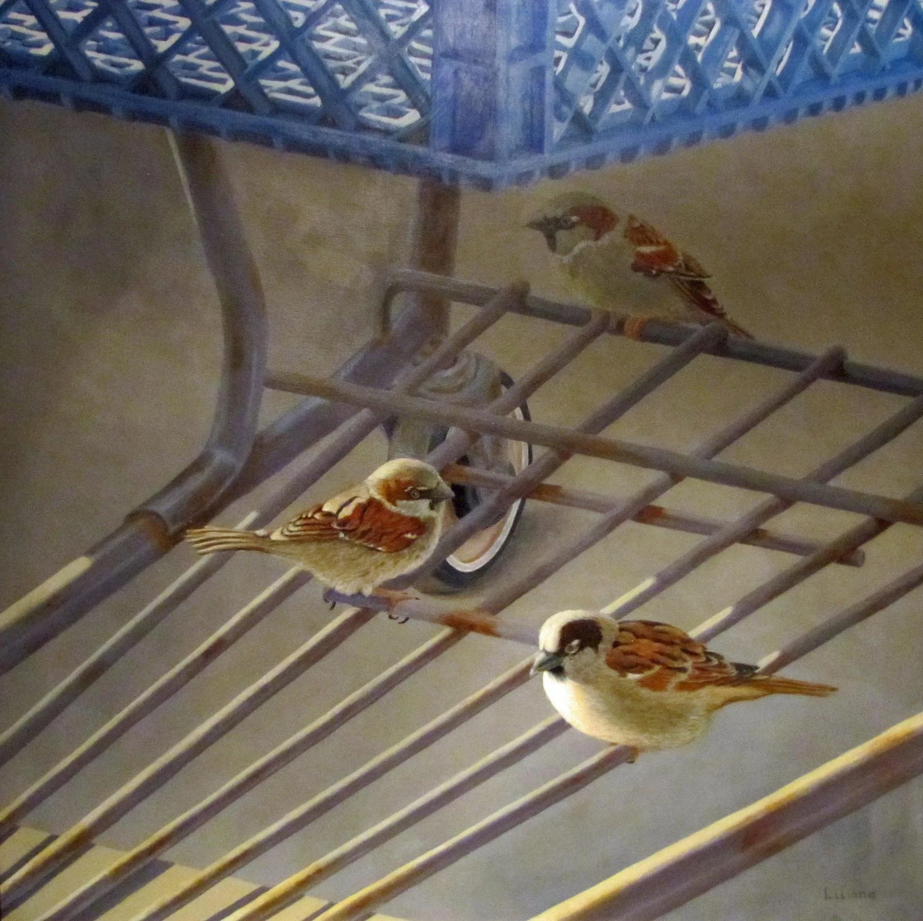 Sparrows on a Shopping Cart.jpg