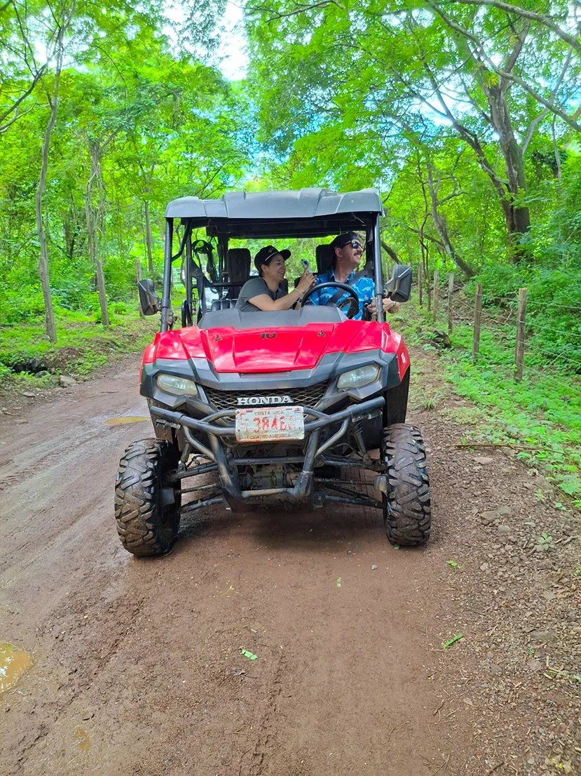 utv tour forest copia.webp