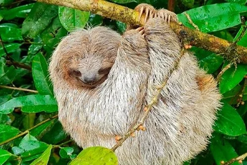 Costa Rica Adventures Travels