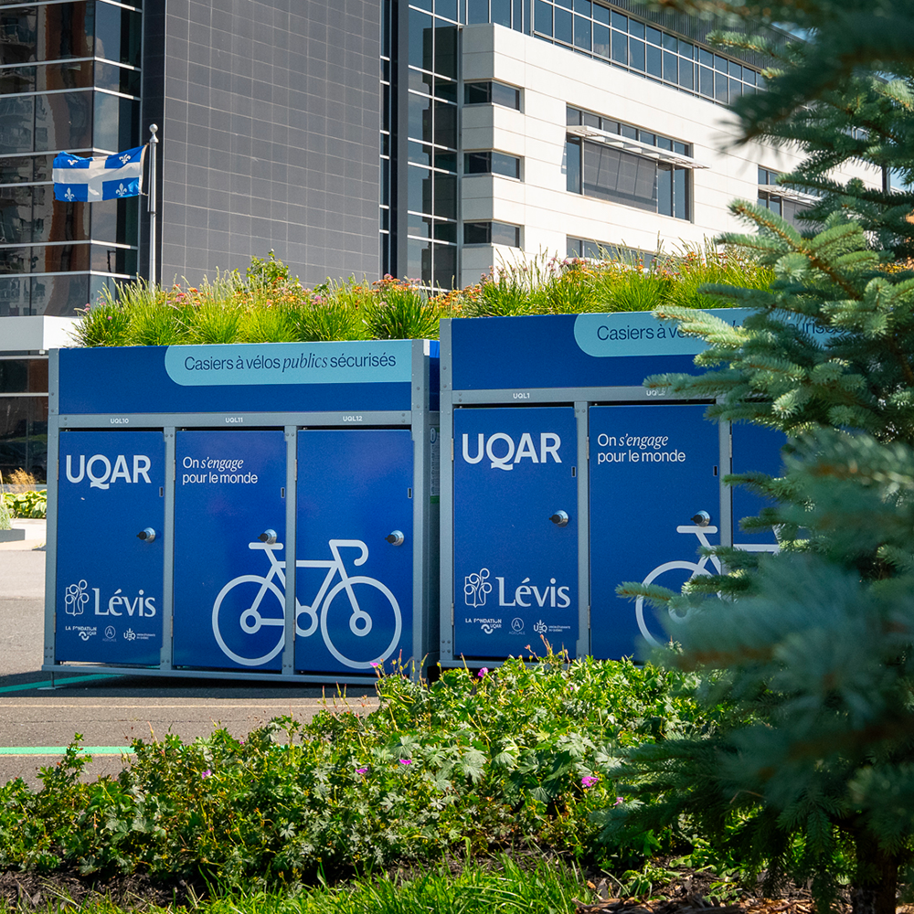 module_stationnement_velo-transit-flex-6places.png