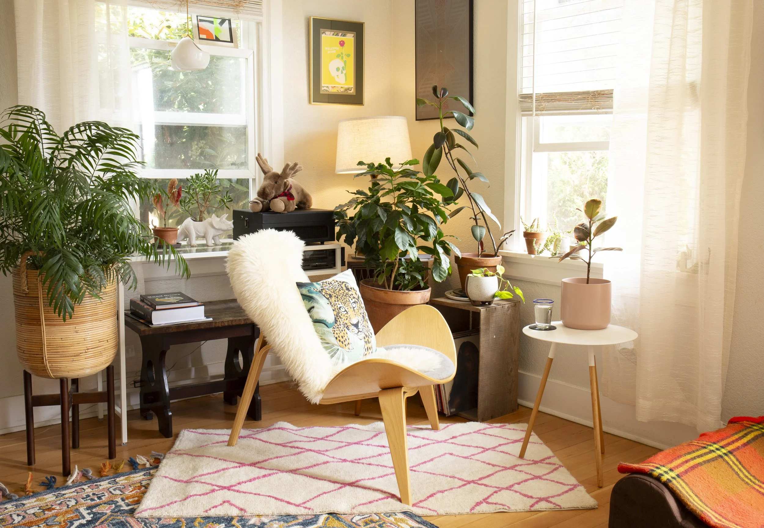 seattle living room plants and rugs