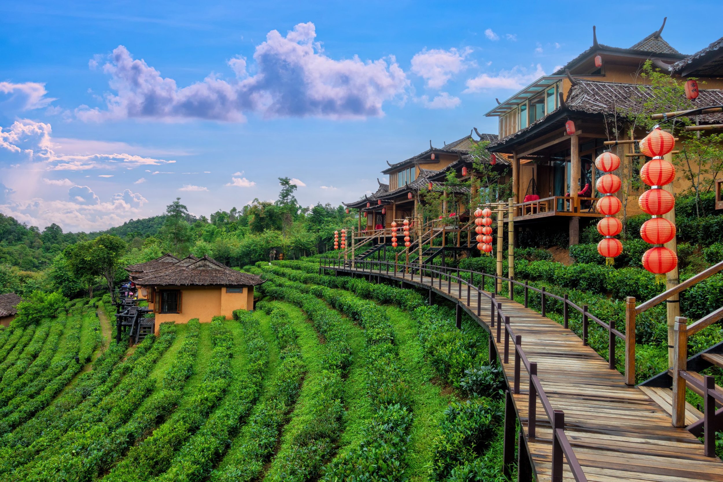 Old chinese style house in tea plantation