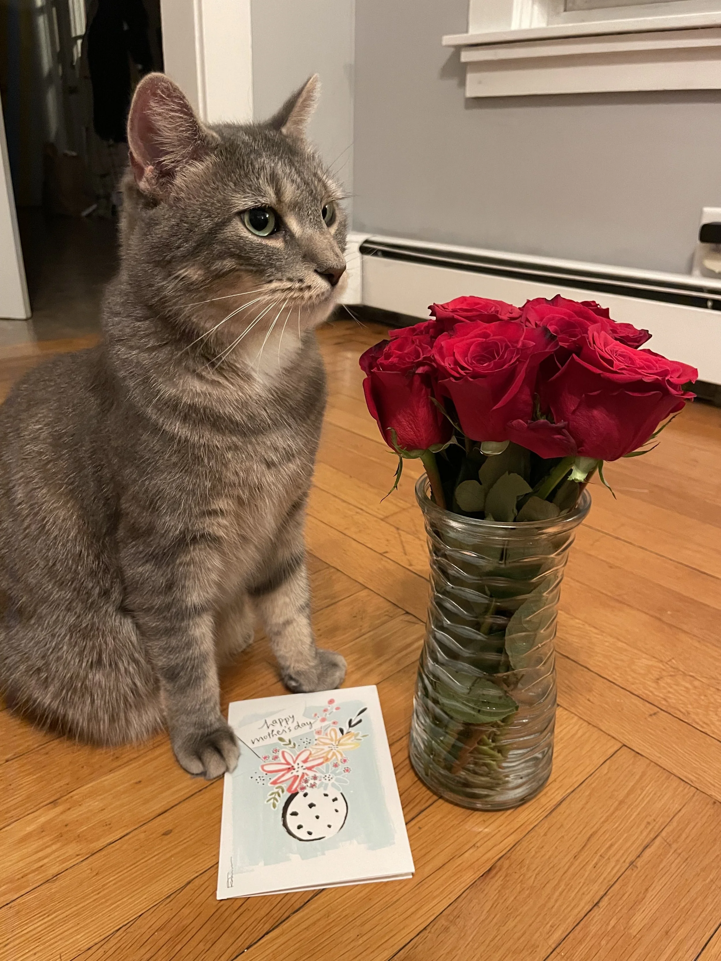 Wesley on Mother's Day 2024