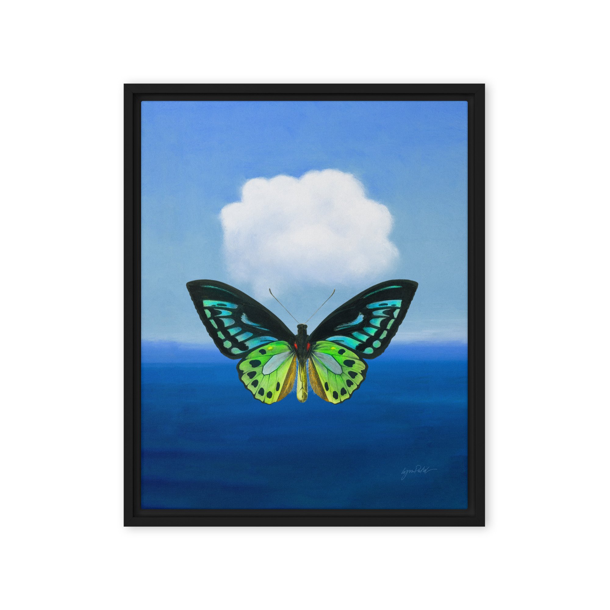framed-canvas-(in)-black-16x20-front-6641145b21113.jpg
