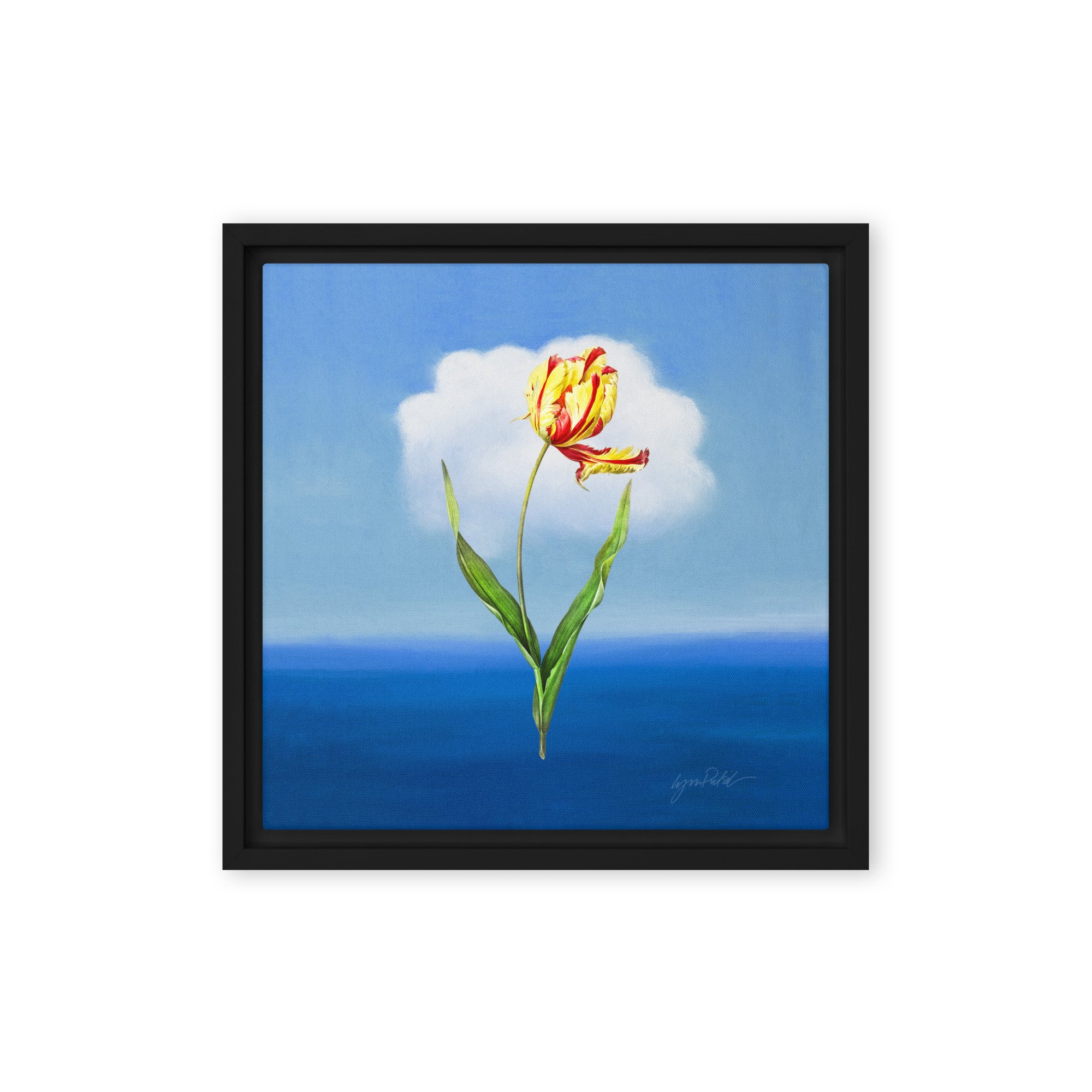 framed-canvas-(in)-black-12x12-front-6641121a6e62e.jpg