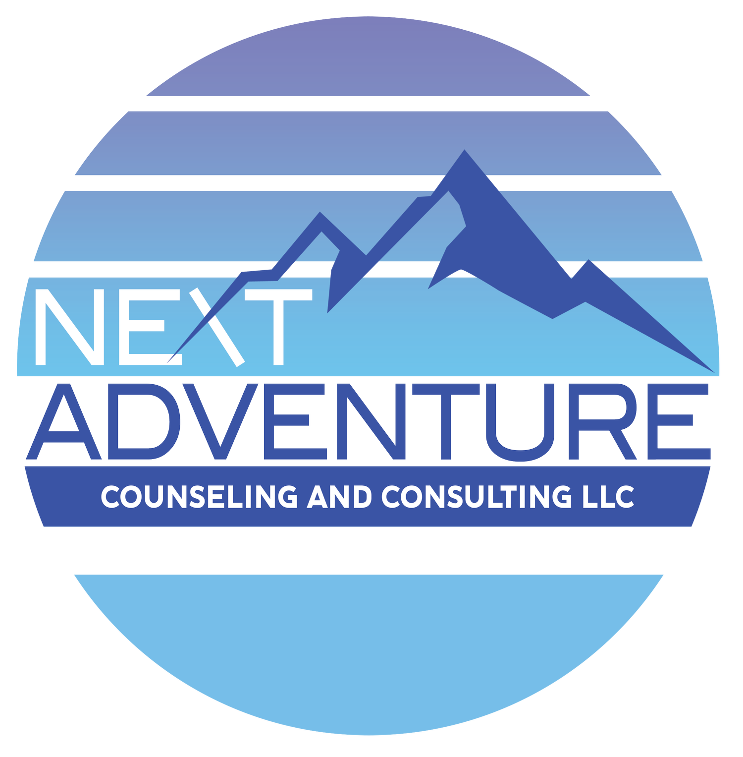 Next Adventure Counseling and Consulting (Copy)