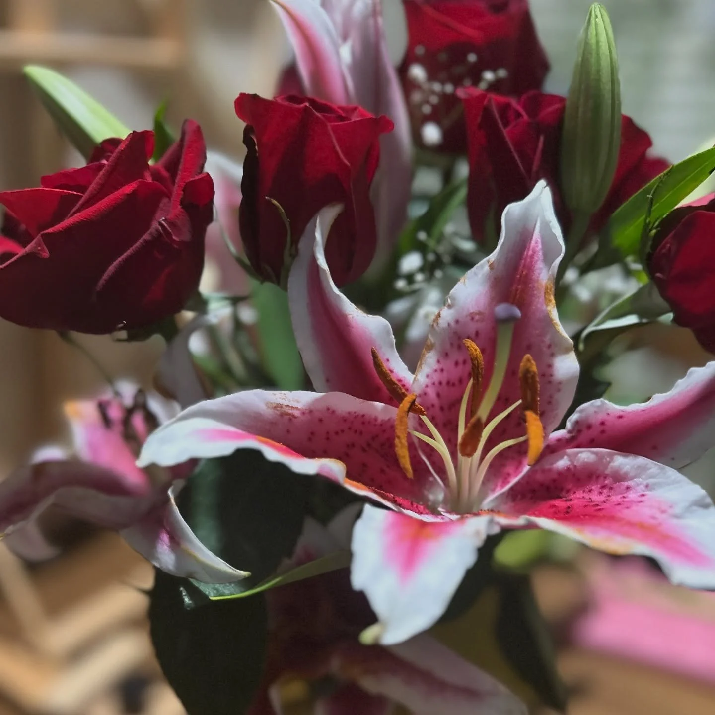 🌺 🌀 🎥 📕 🍿 🐶 🐰 ✈️ Happy Anniversary (and a few extra days).