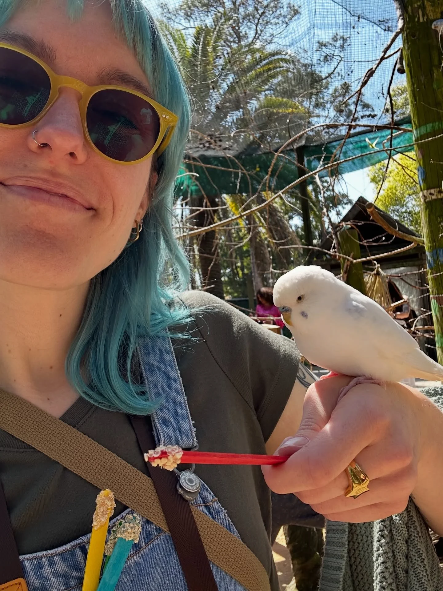 I&rsquo;m bringing one home from Florida&hellip; 😍🦜🐥