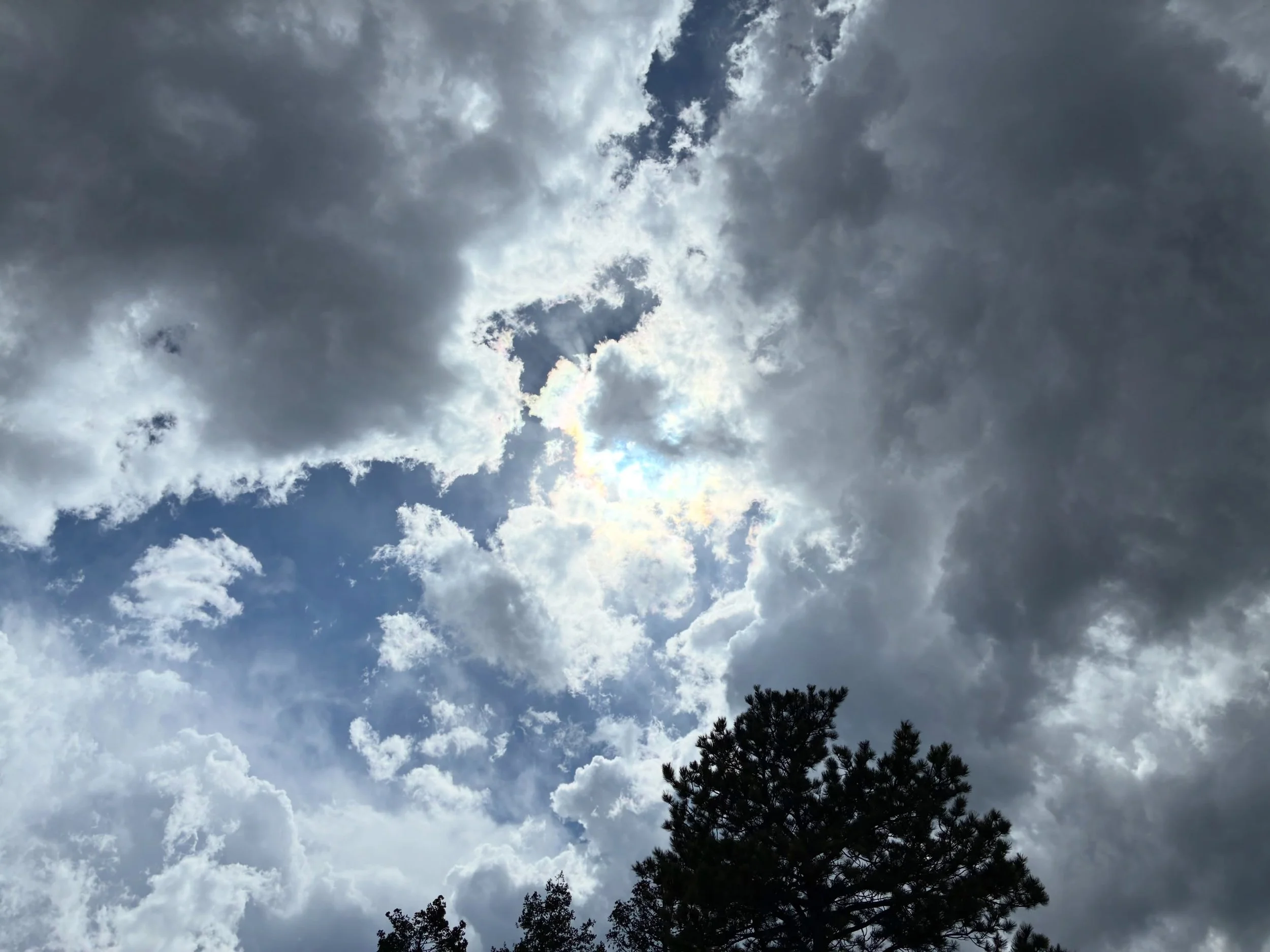 Colorado 2/3: Wild Heart Teacher retreat! Learning how to leave a legacy with our students, hiking, new teacher friends, crafting, ed speakers, and more. I got to share about my new last name and ugly cried. So you know it was successful. I think I m