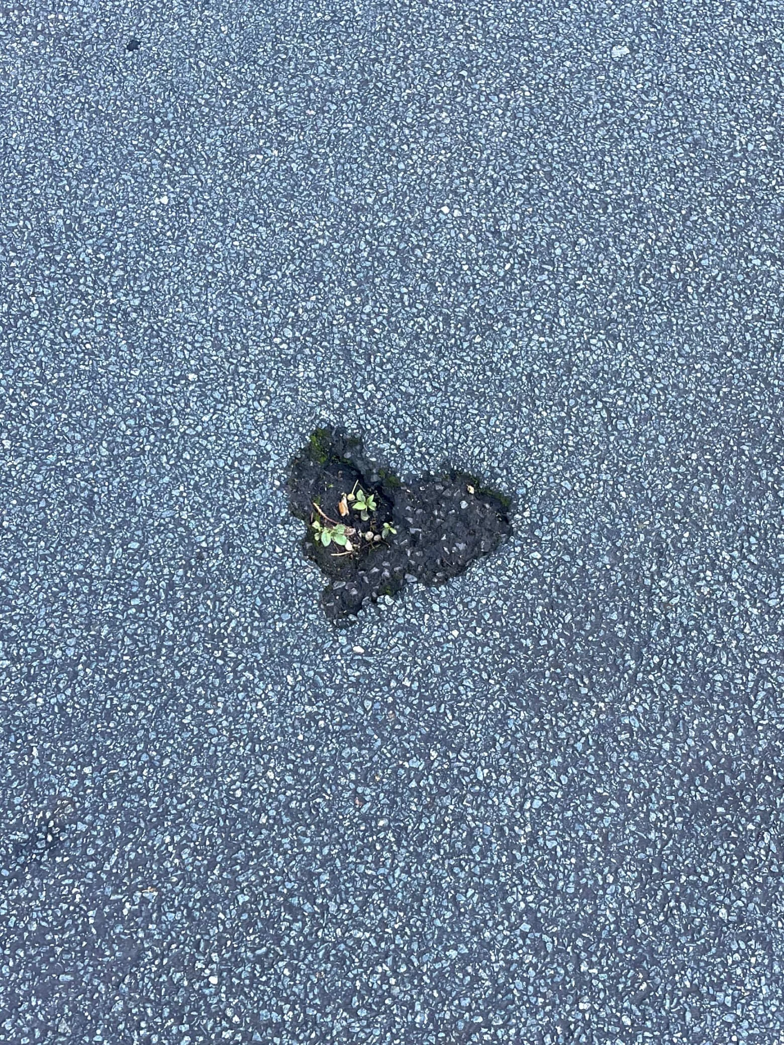 A heart shaped hole in the pavement