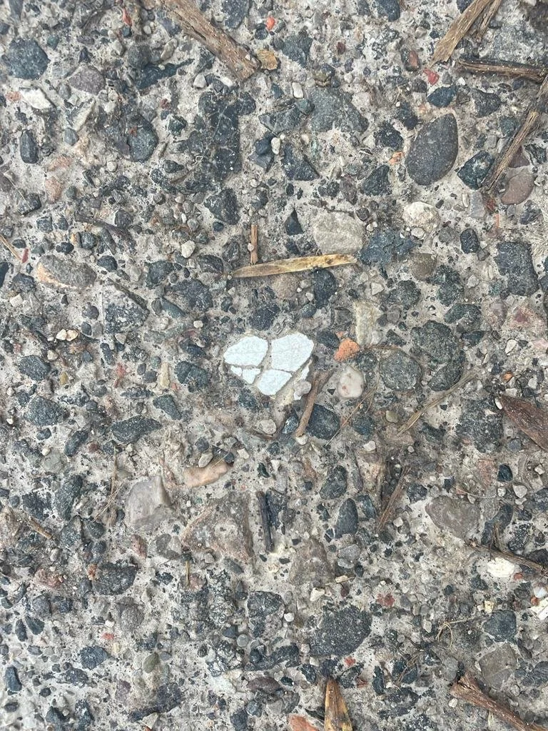 heart1.jpg