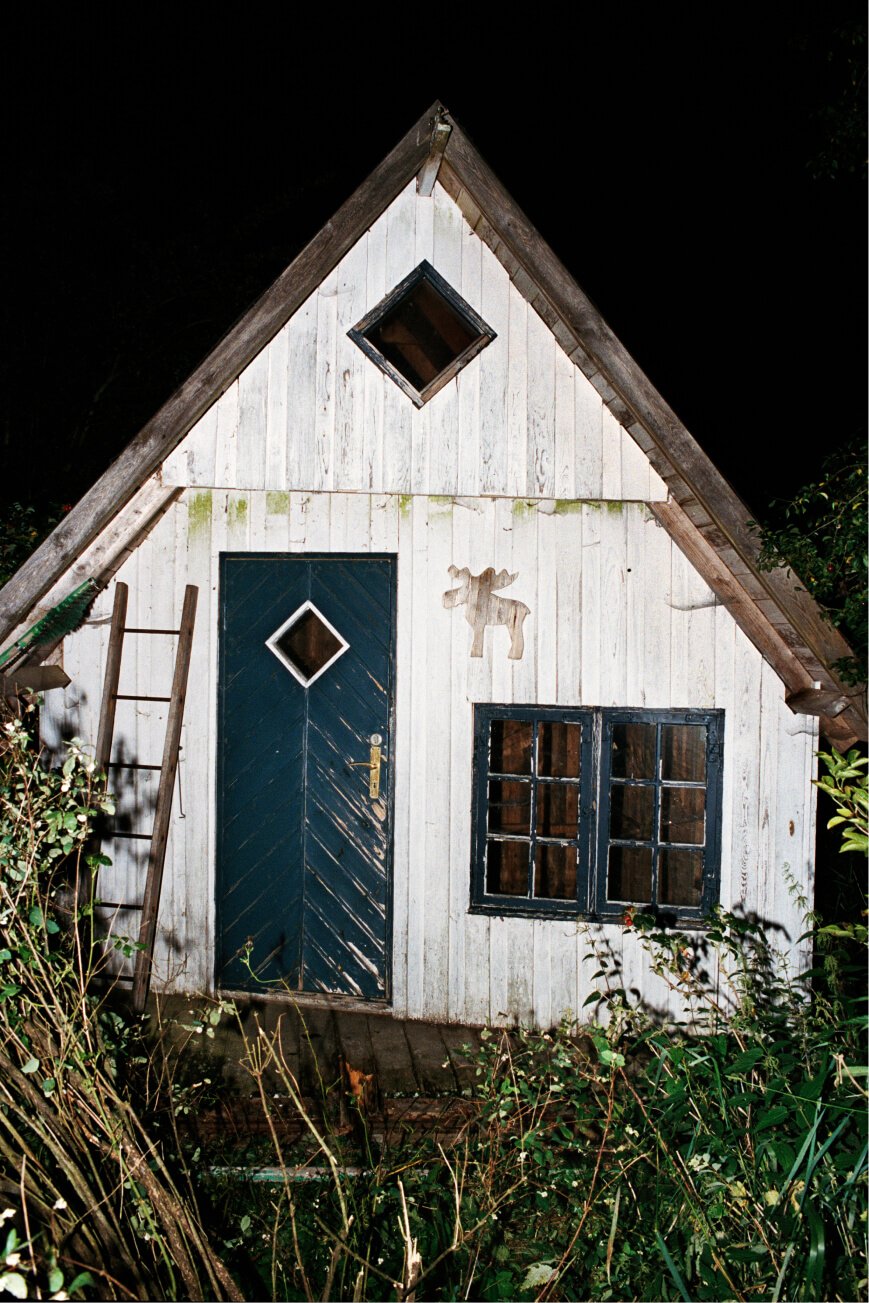 Ein kleines Haus mit einer blauen Tür mitten im Wald.