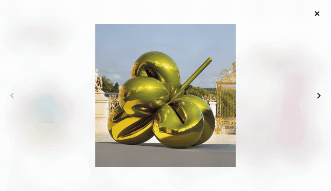 Fokussierte Darstellung von Bildern auf der Website von Jeff Koons