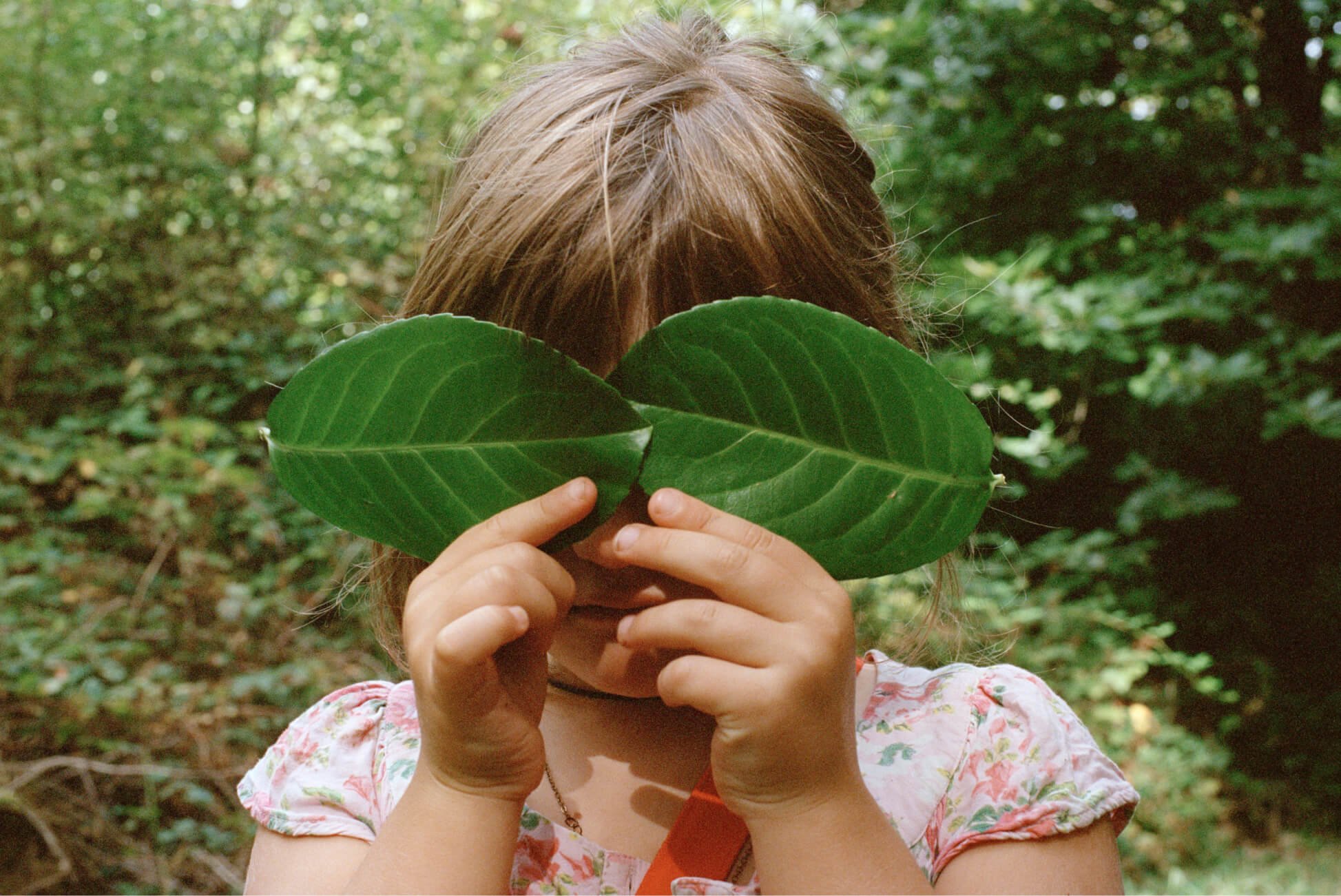 Uma garota em uma área arborizada cobre ambos os olhos com folhas grandes.
