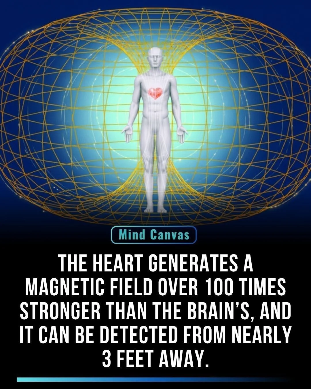 Heart Coherence &amp; Field Zhuzh: 5D you can feel - with Susan Lynch