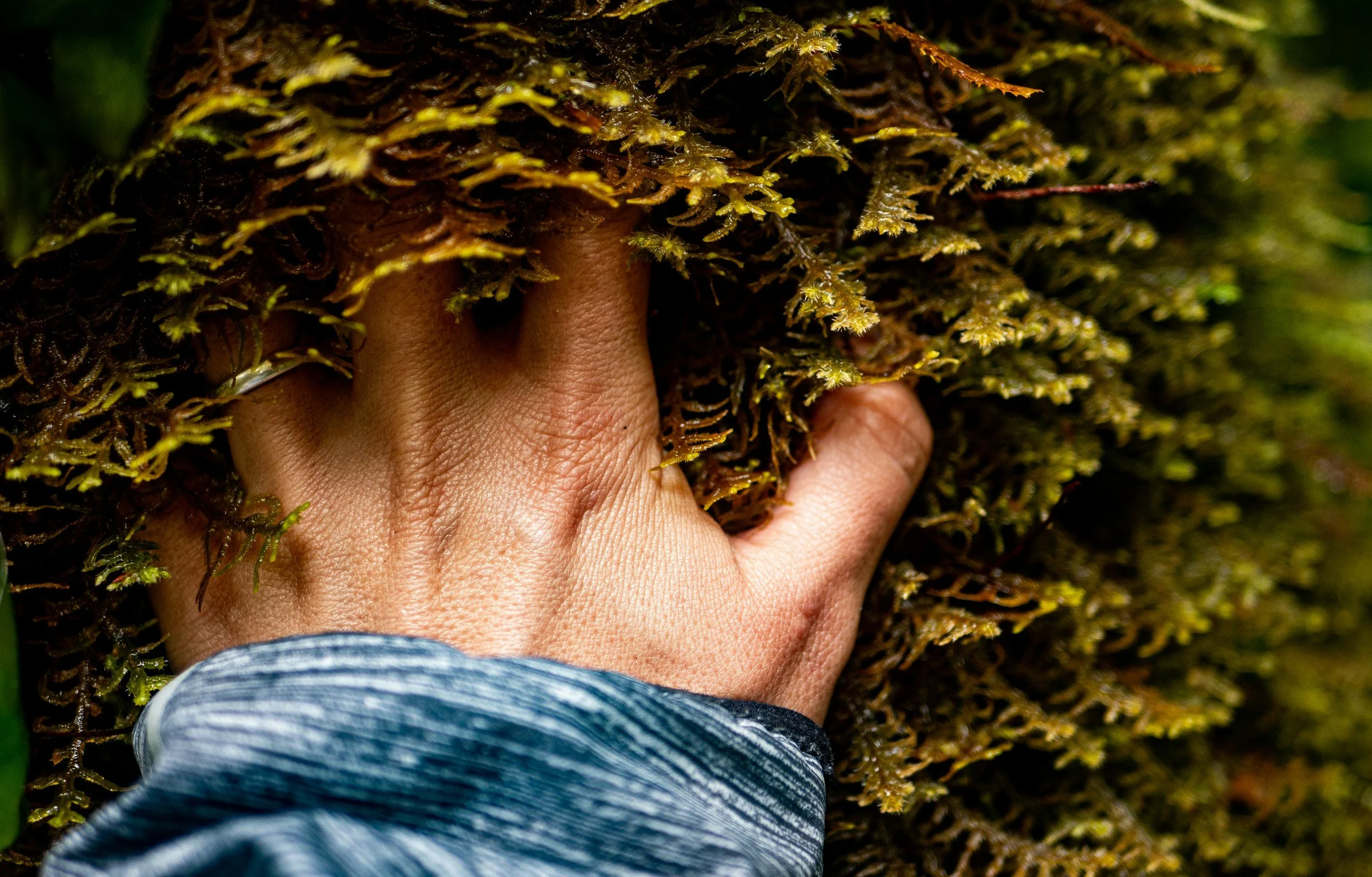 Rooted: A Women’s Circle for Whole-Life Wellbeing with Emilia Vogt