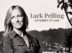Lark Pelling Attorney.png