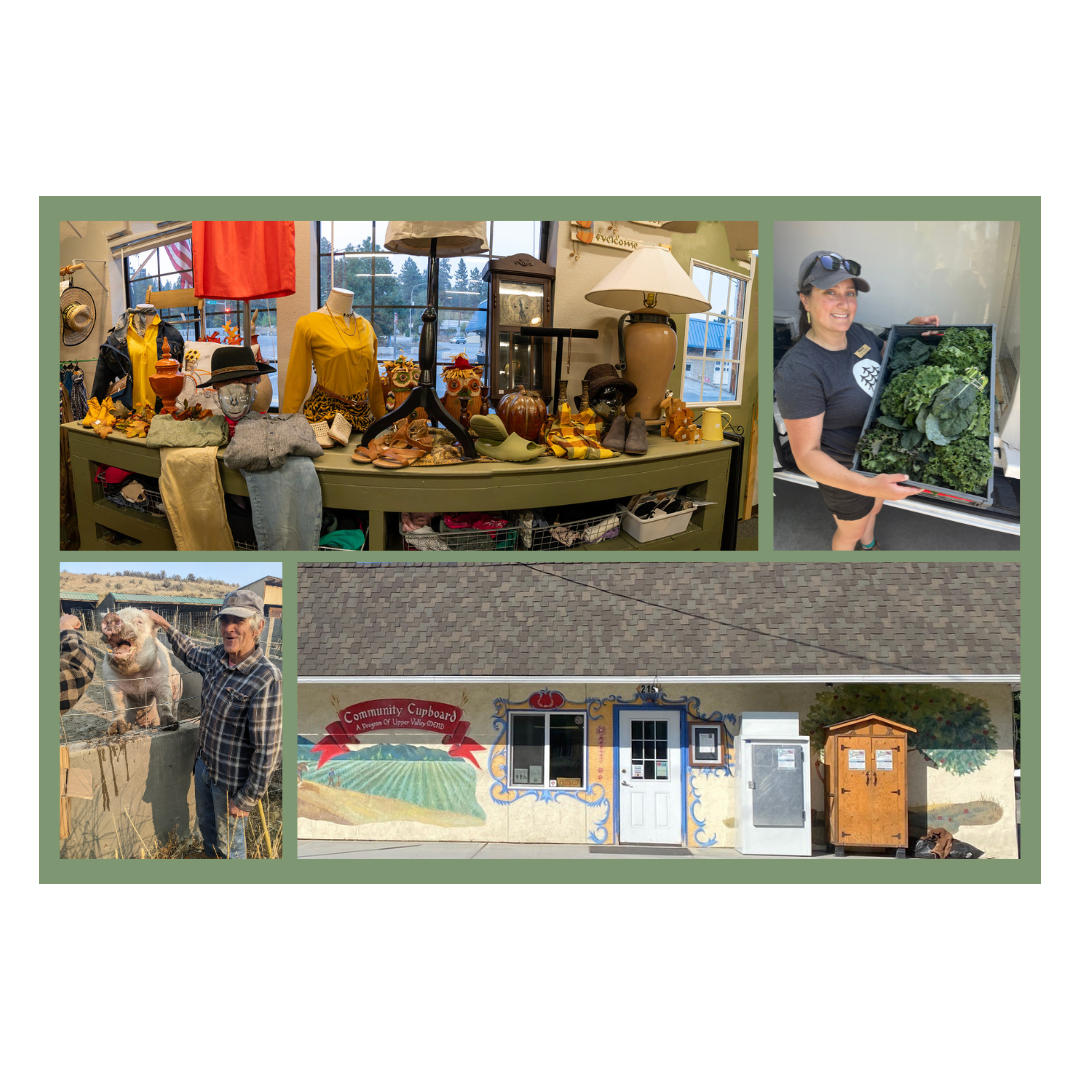 Con motivo del Día de la Tierra: cómo MEND reduce los residuos