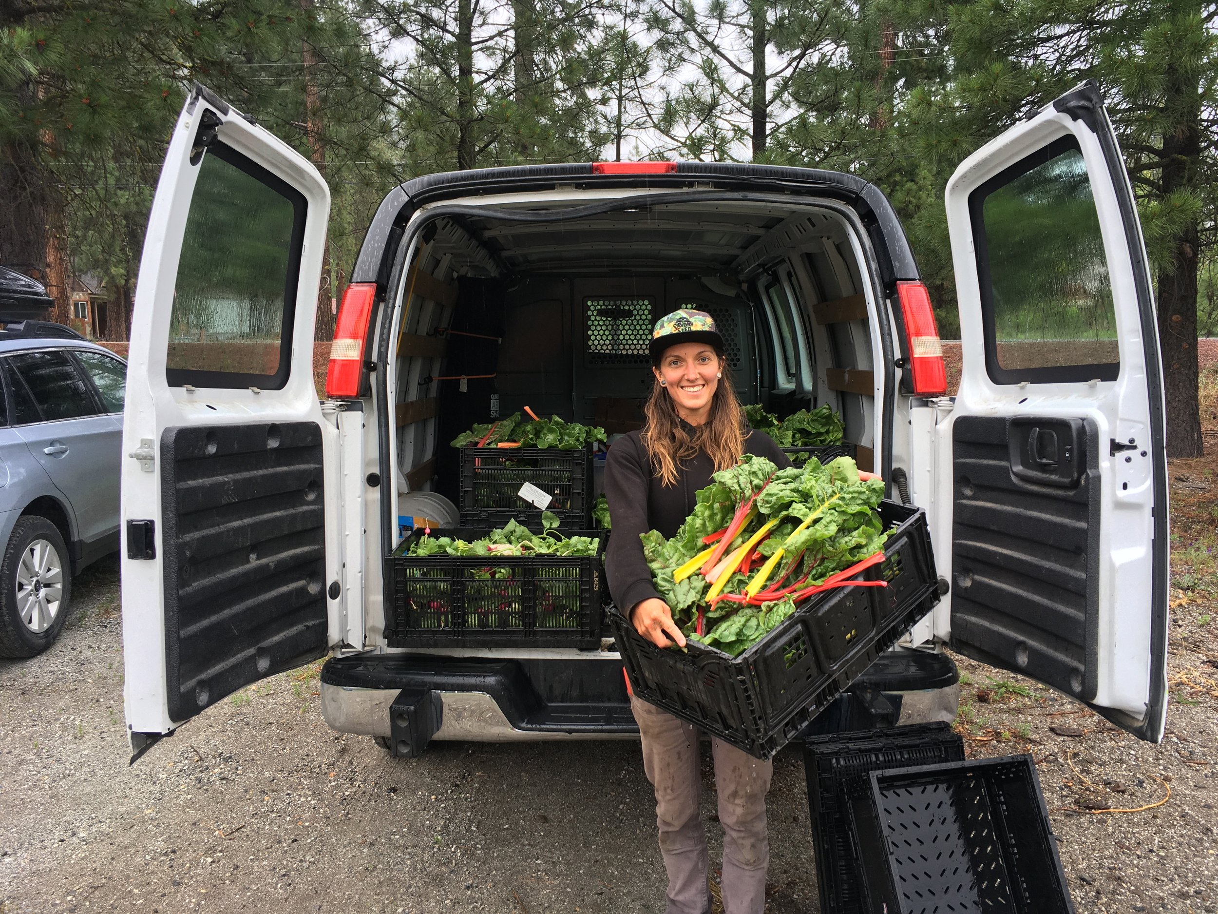 Gleaning — Upper Valley Mend