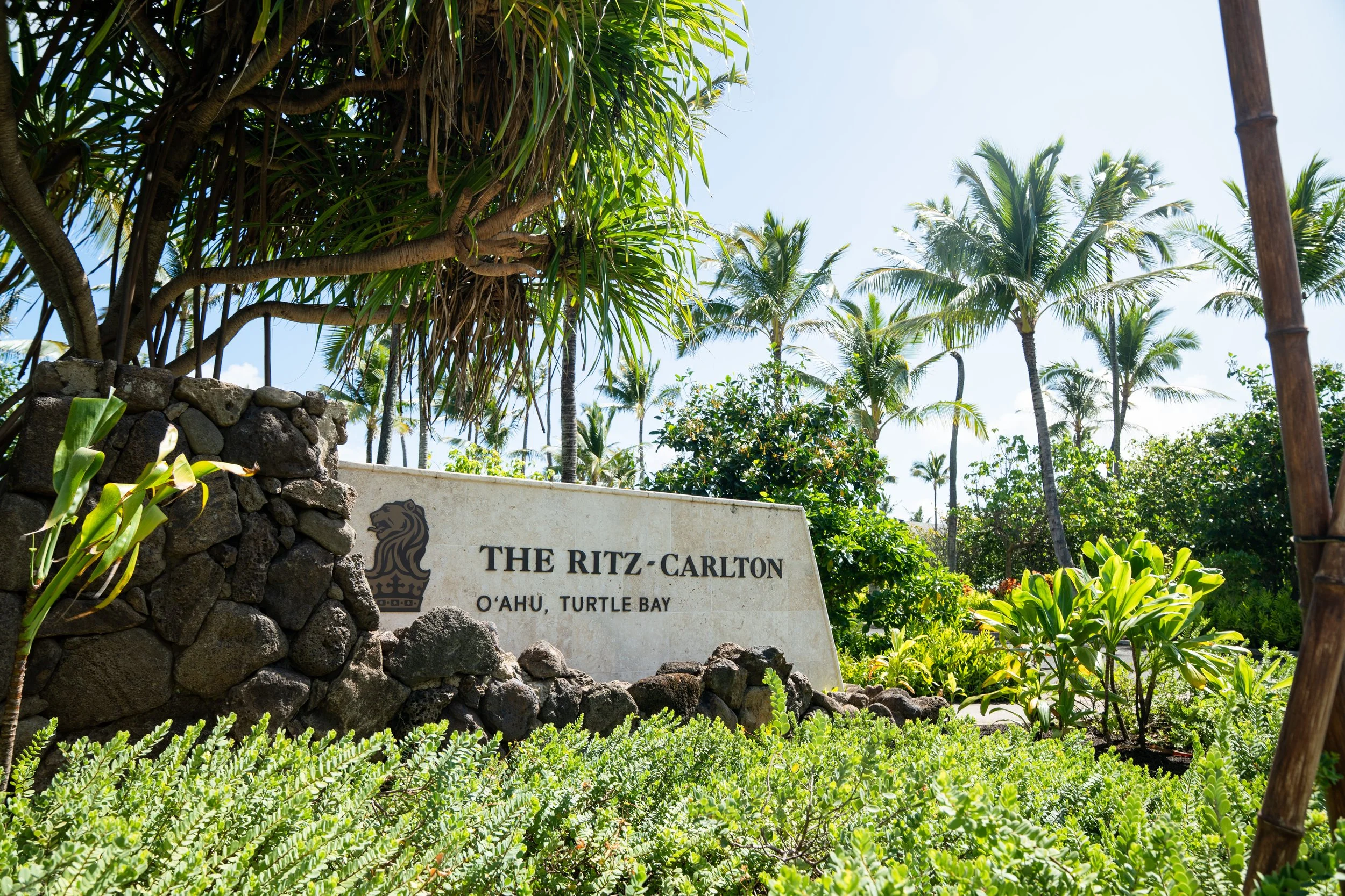 AB-HAWAII-DAY3-156.jpg