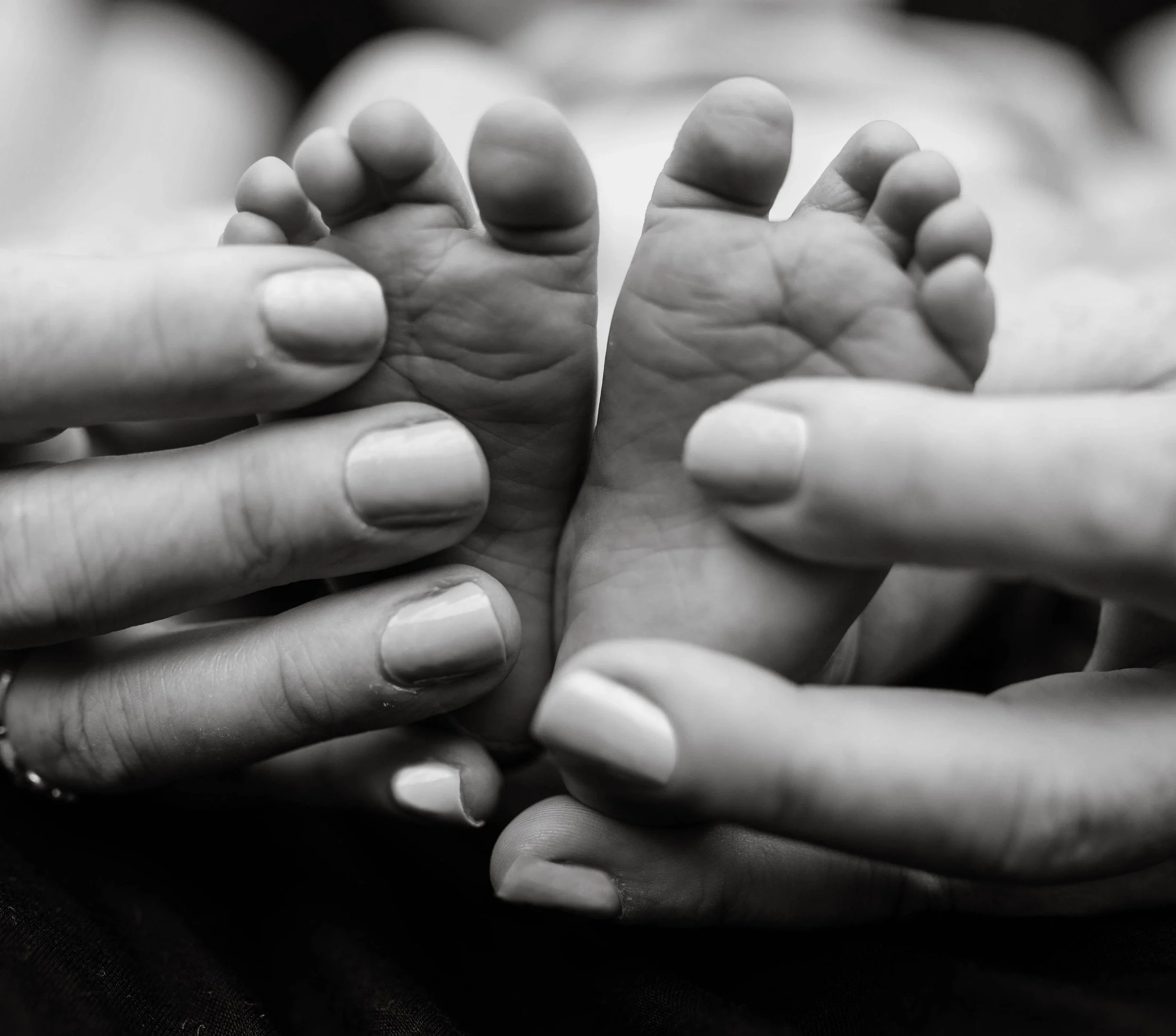 Black and white photograph of an adult's hands gently holding a newborn baby's tiny hands.