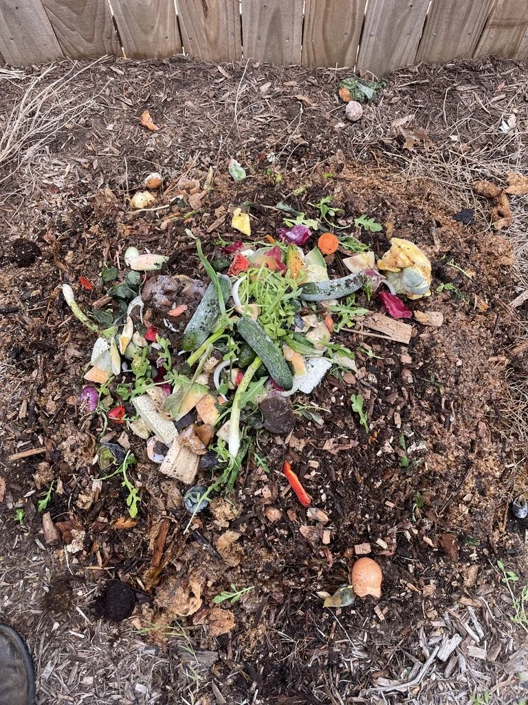 Before - backyard compost.jpeg