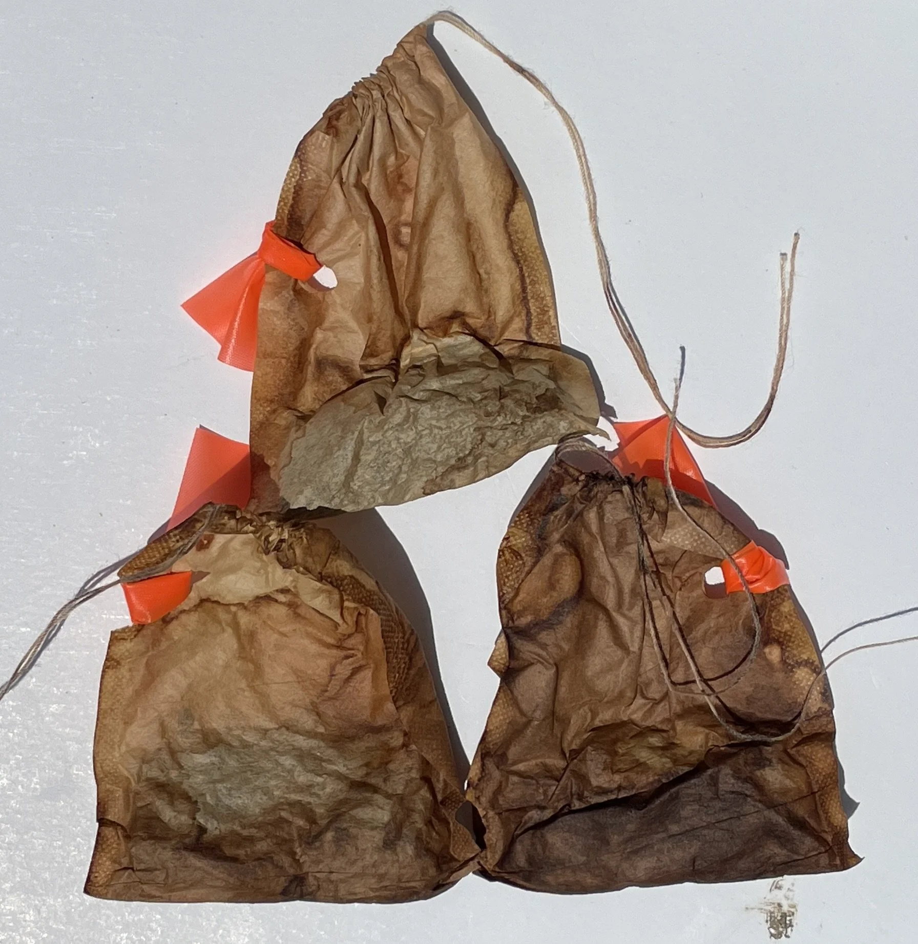 Day 0 - tea bags.jpeg