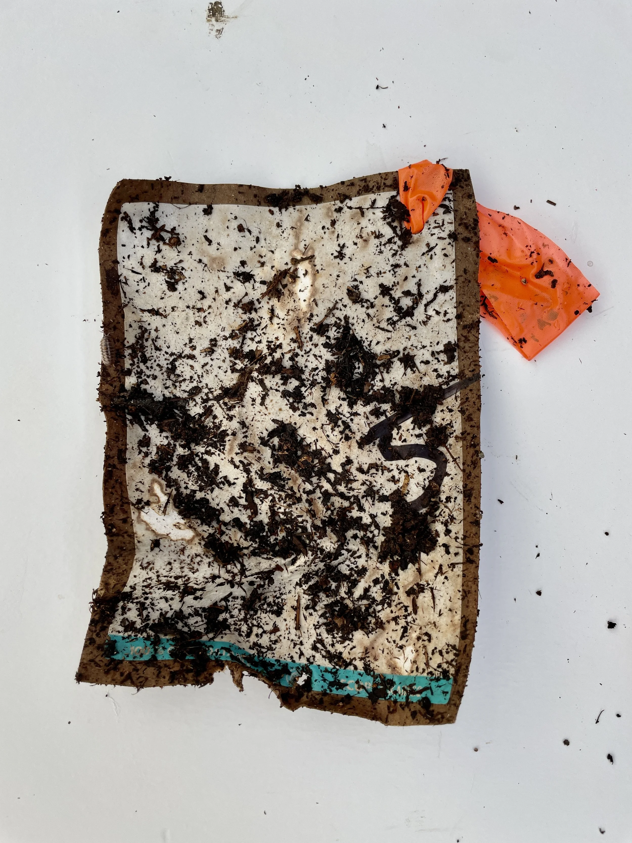 Day 3 - shipping label.jpeg