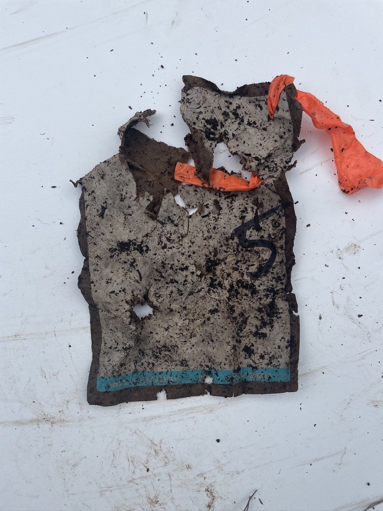 Day 12 - shipping label.jpeg