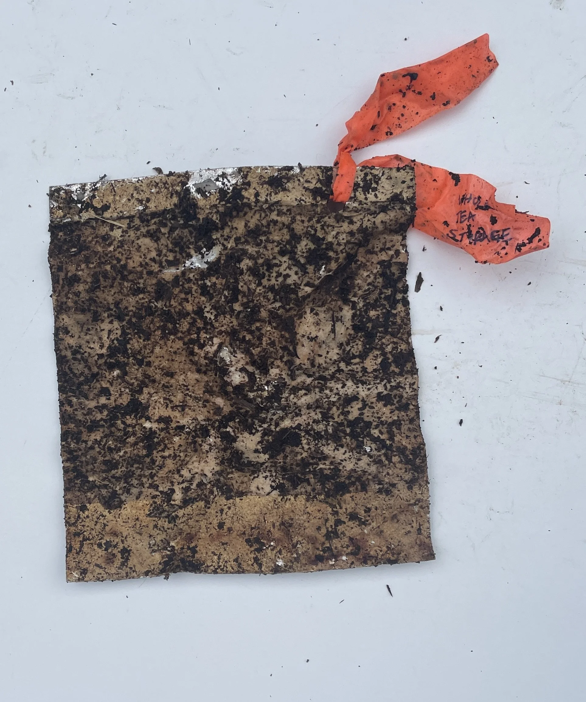 Day 12 - storage bag whole.jpeg