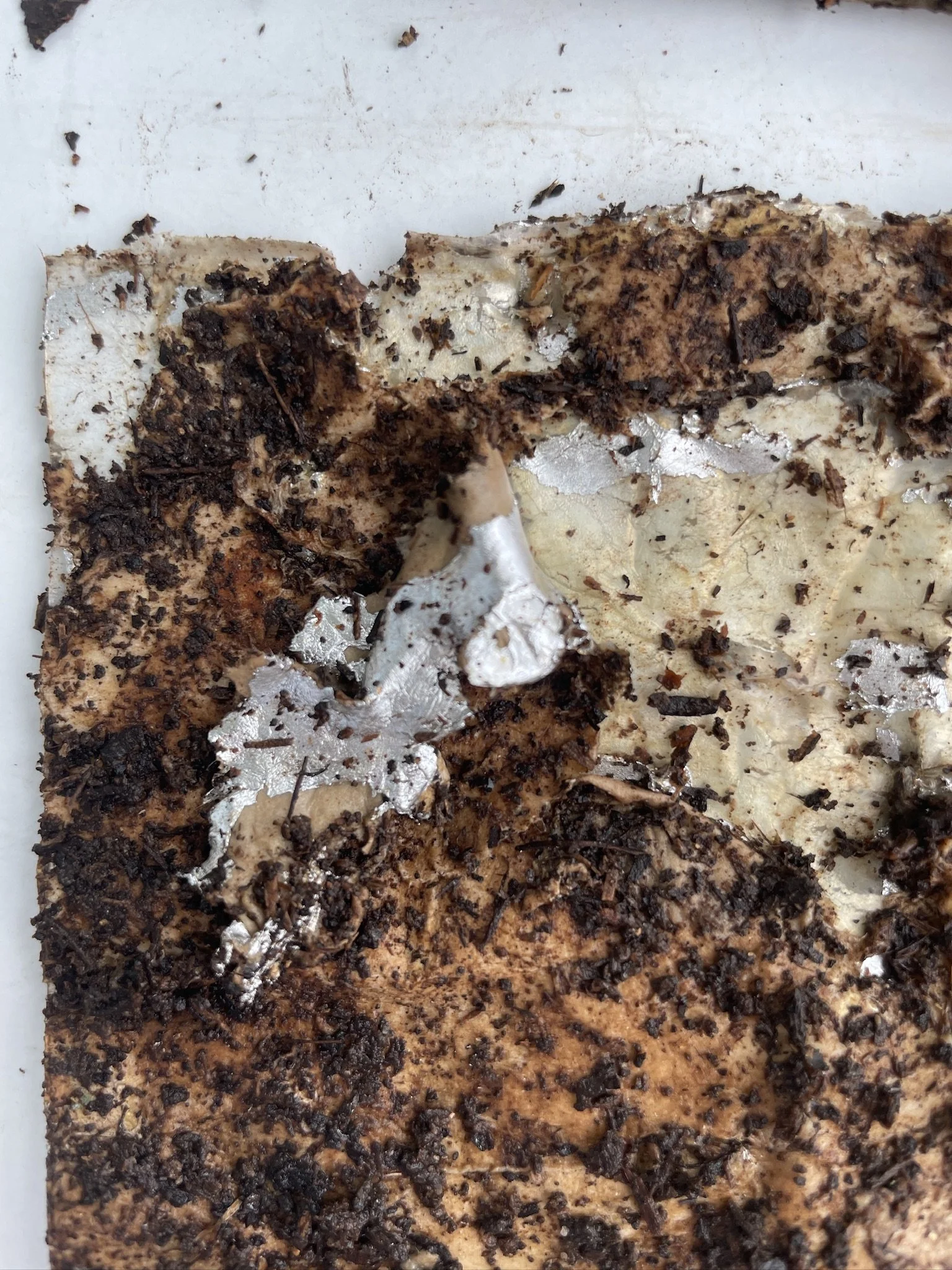 Day 15 - close up of storage bag whole.jpeg