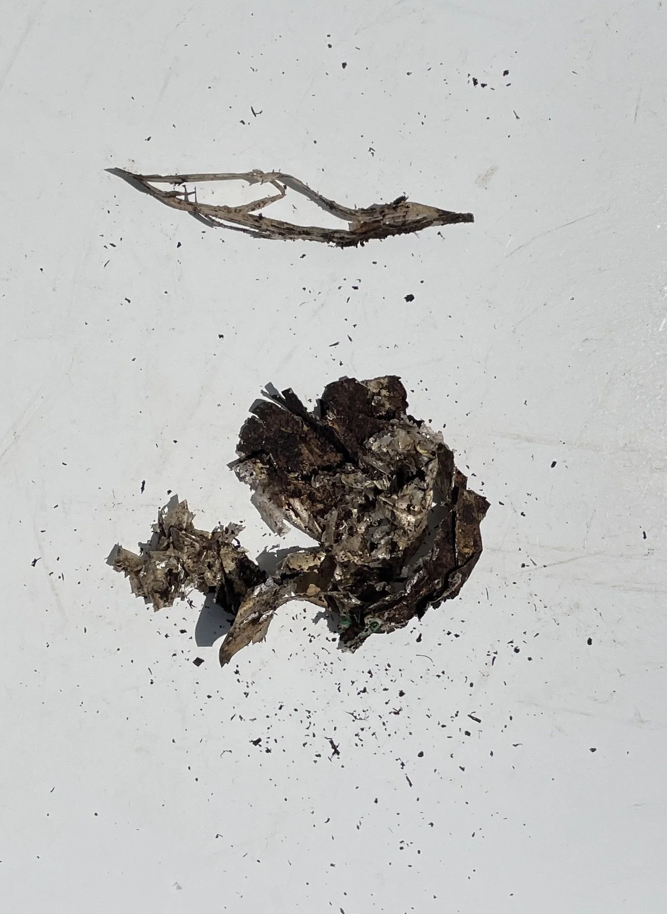 Day 36 - Storage Bag Whole.jpeg