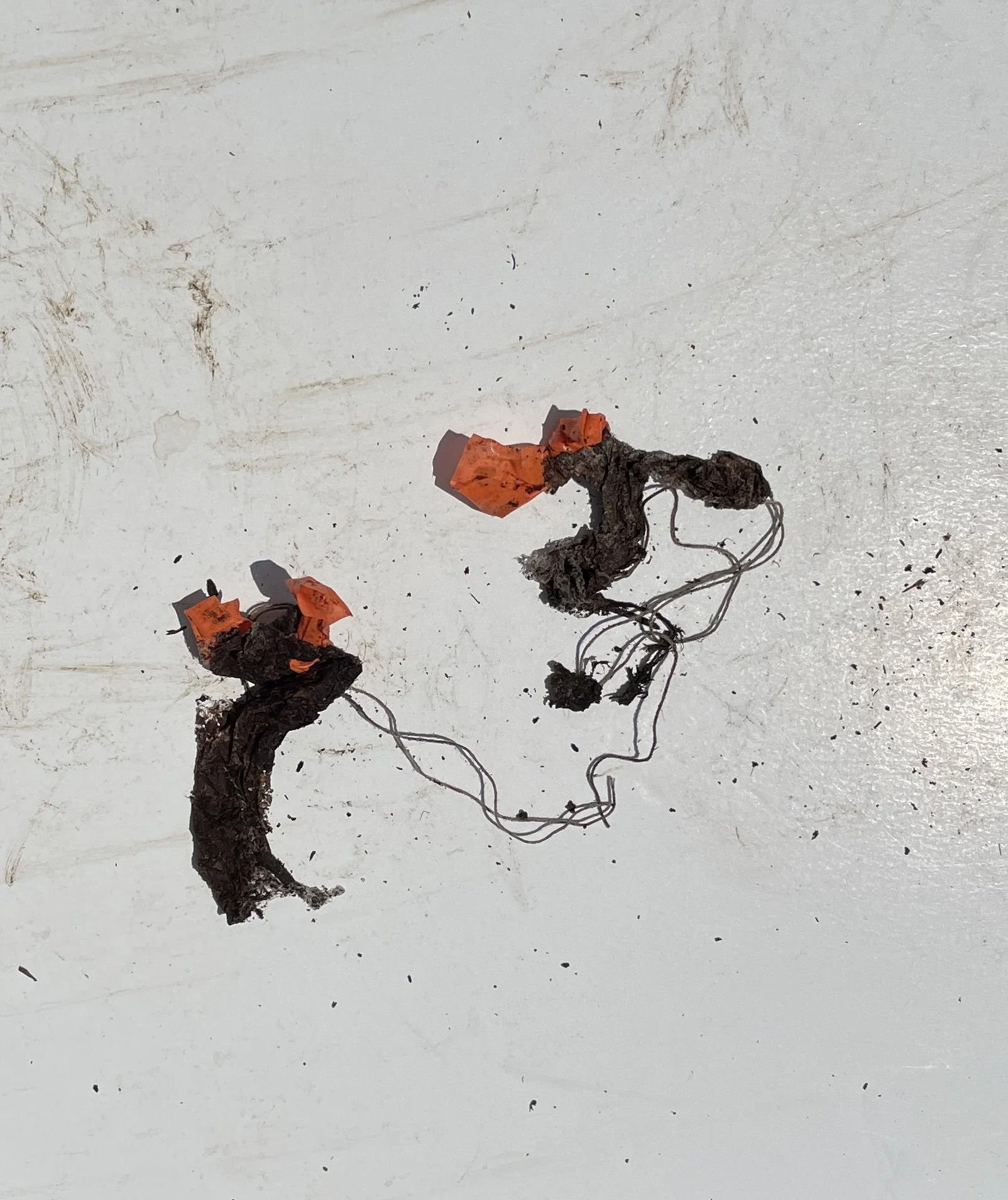 Day 36 - tea bag remnants (2).jpeg