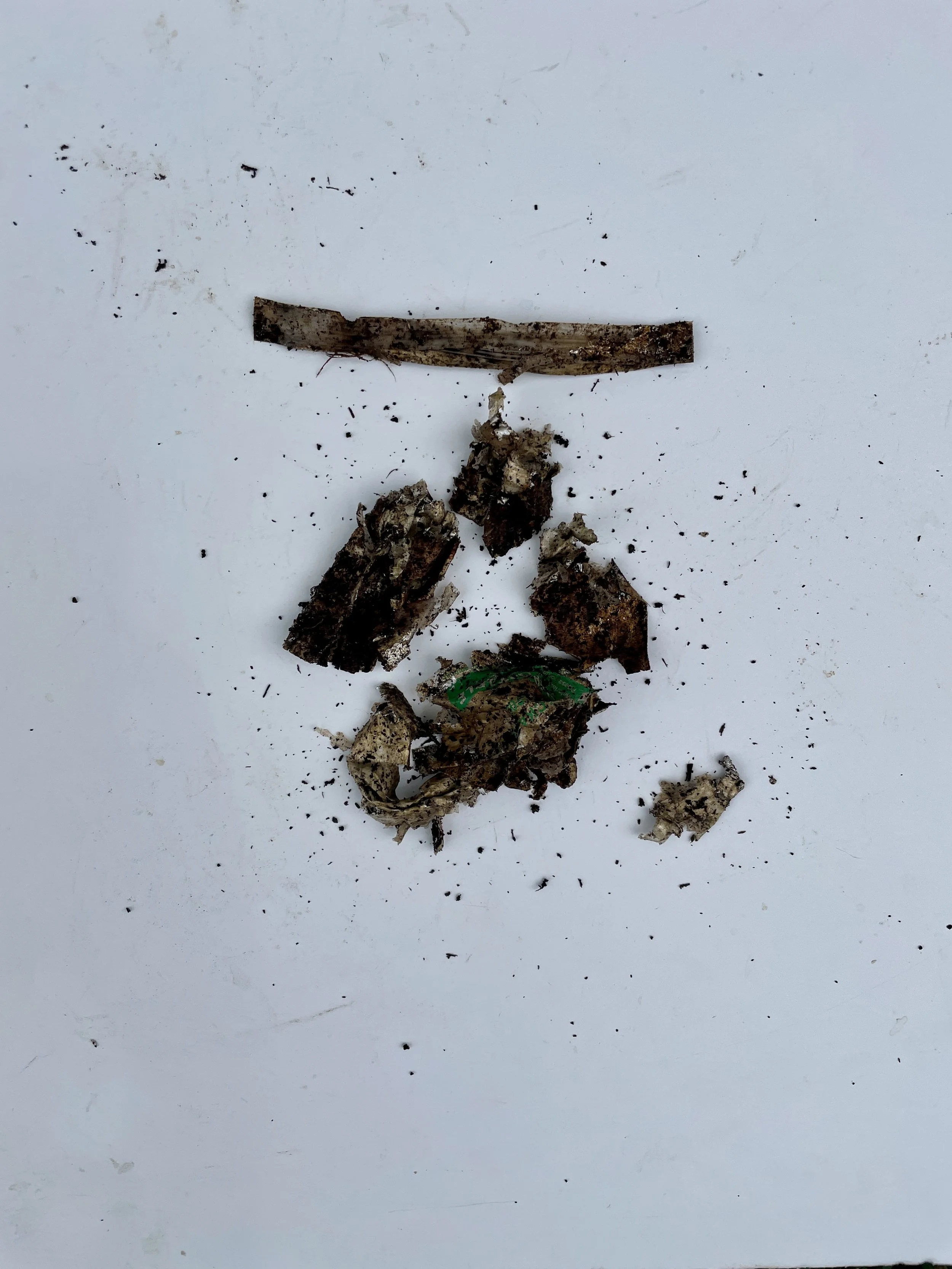 Day 41 - storage bag whole.jpeg