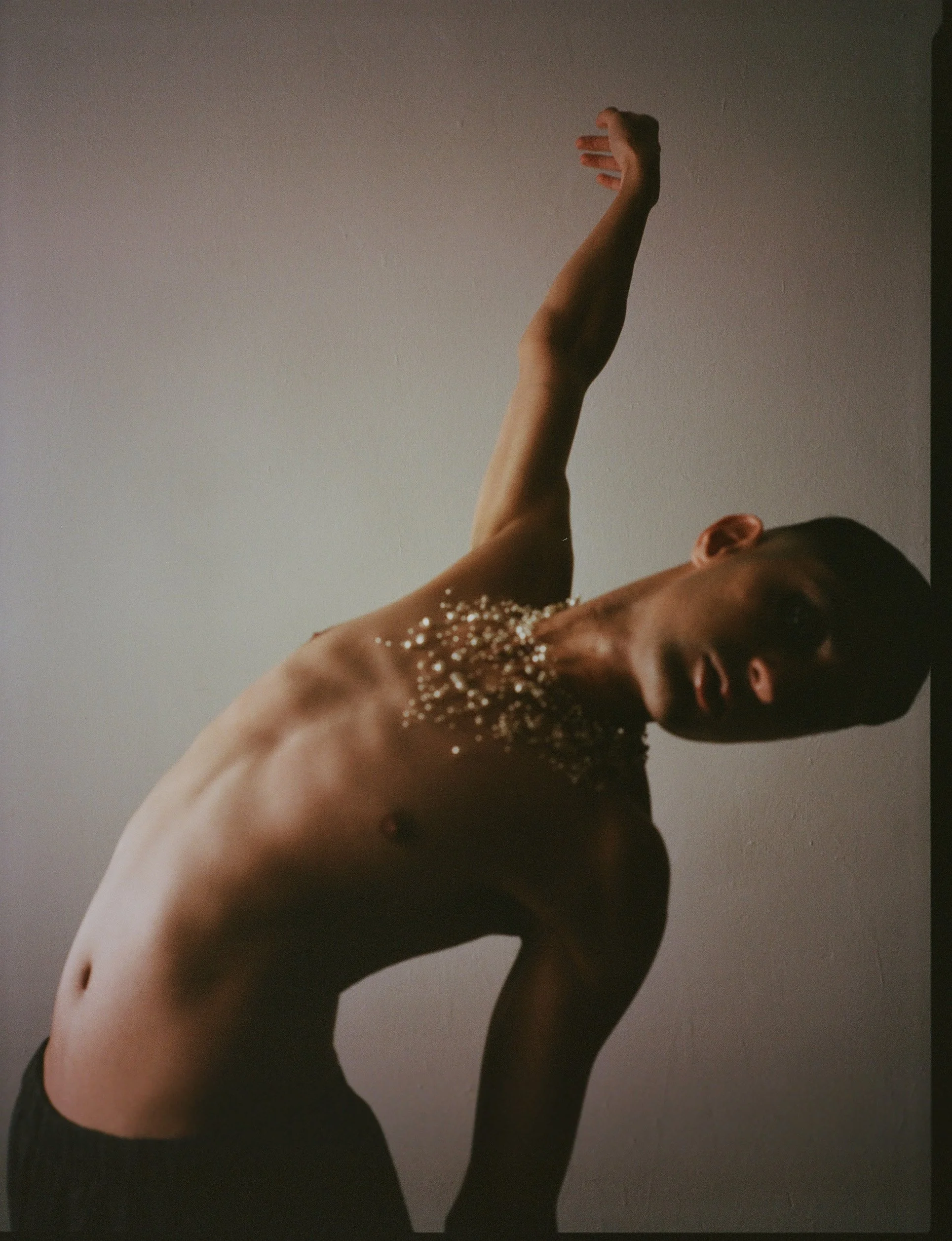 Organza | Stylist & Creative Director