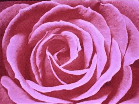 ec14da7abf54f996c1a8c6dae21c3214.gif